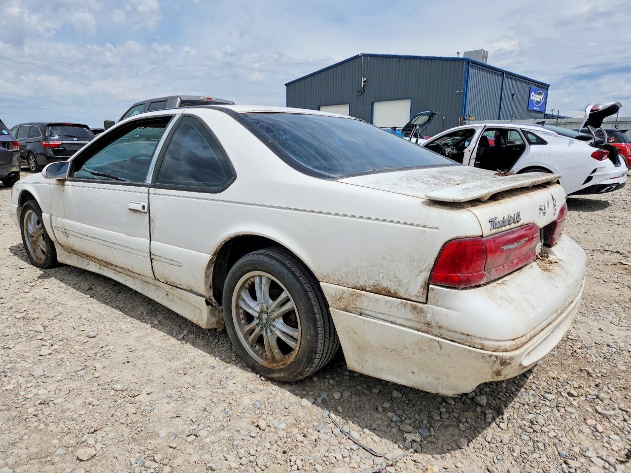 1997 Ford Thunderbird Lx White vin: 1FALP62W9VH148577