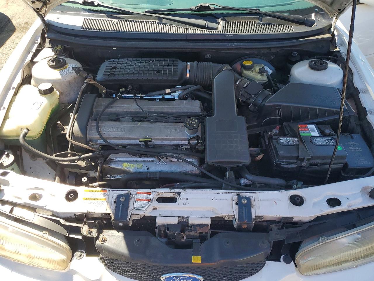 1996 Ford Contour Gl White vin: 1FALP6531TK219854