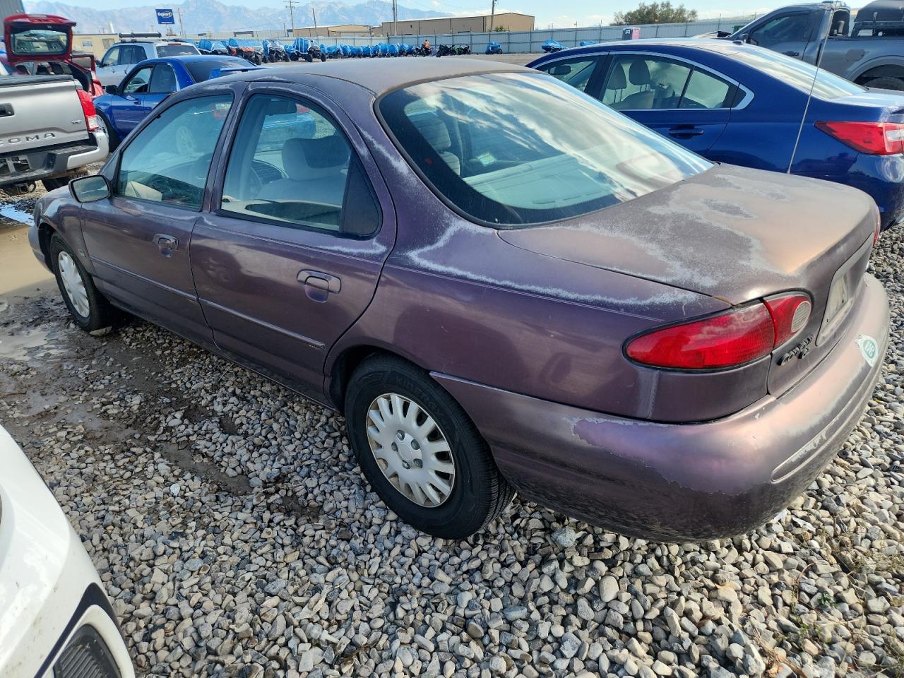 1996 Ford Contour Gl Purple vin: 1FALP65L2TK163889