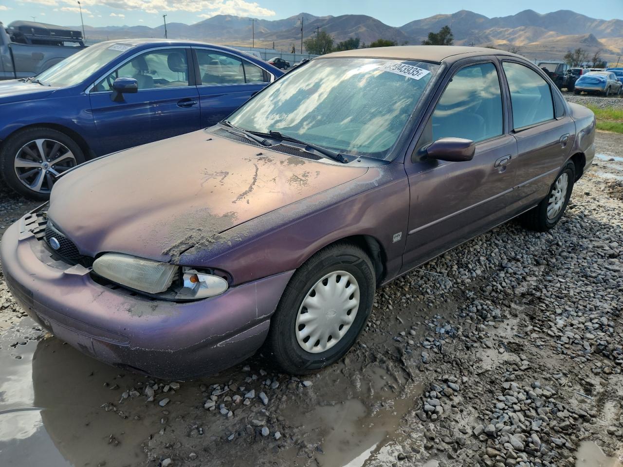 1996 Ford Contour Gl Purple vin: 1FALP65L2TK163889