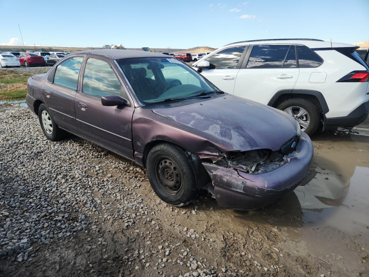 1996 Ford Contour Gl Purple vin: 1FALP65L2TK163889