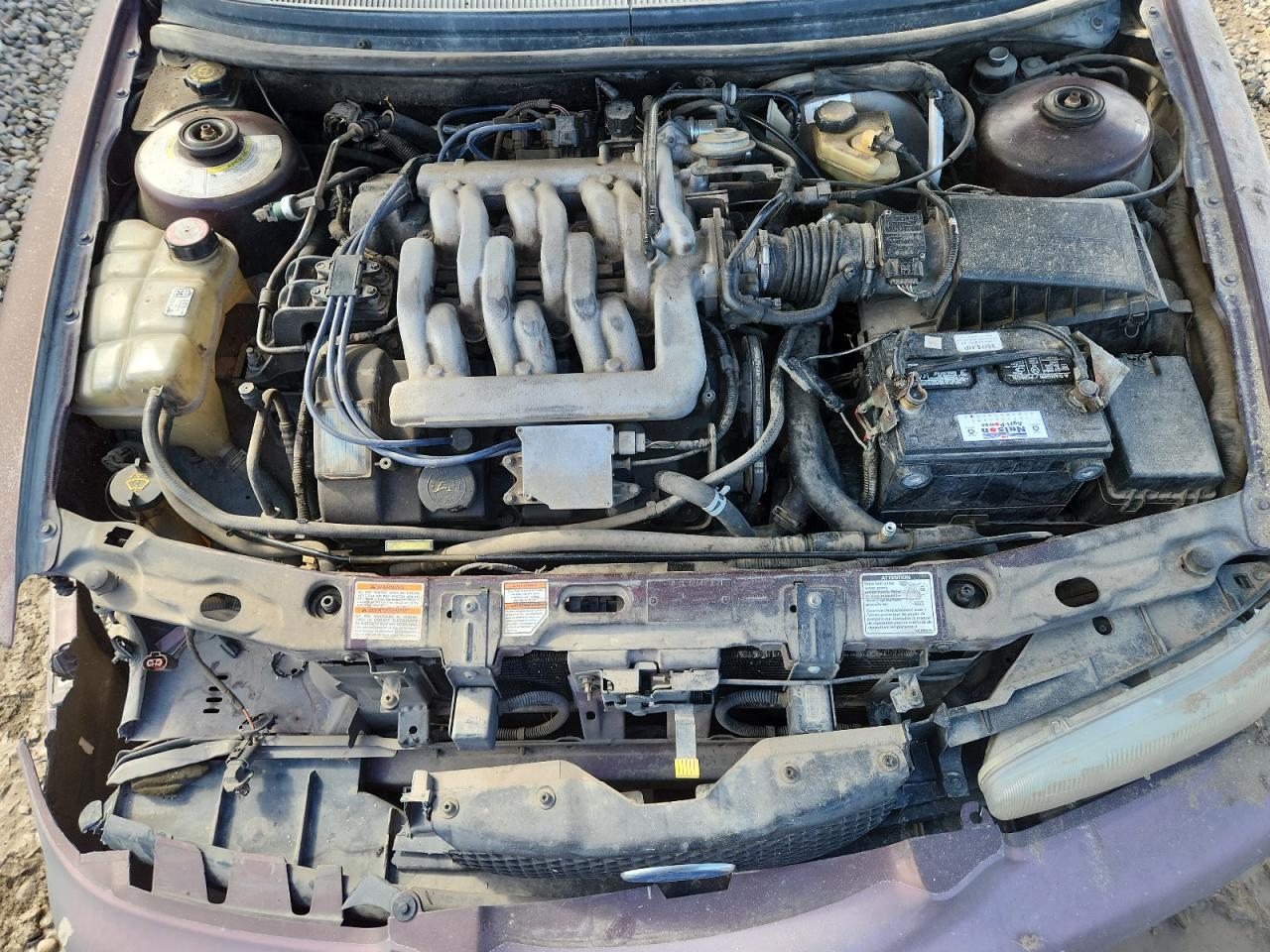 1996 Ford Contour Gl Purple vin: 1FALP65L2TK163889