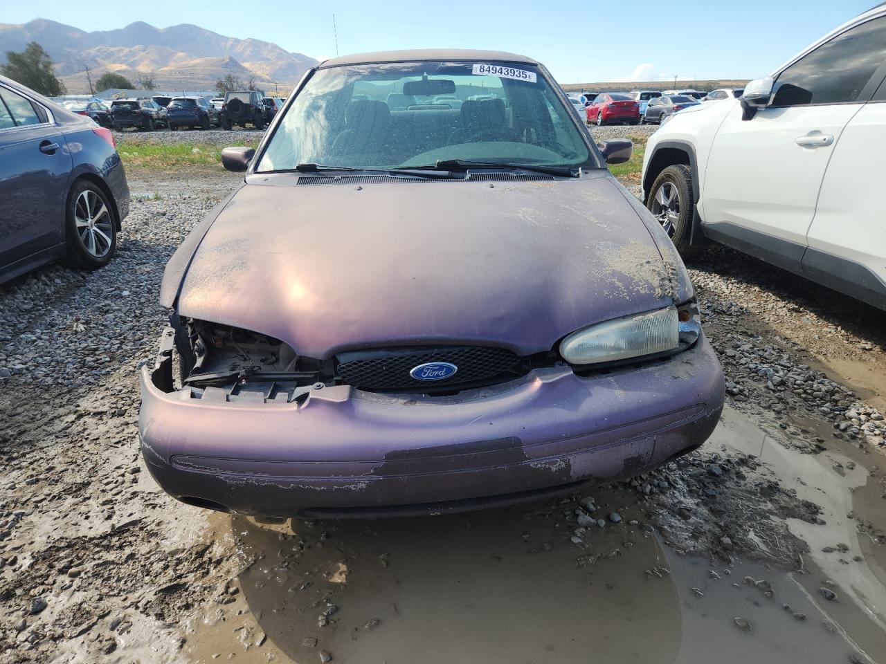 1996 Ford Contour Gl Purple vin: 1FALP65L2TK163889