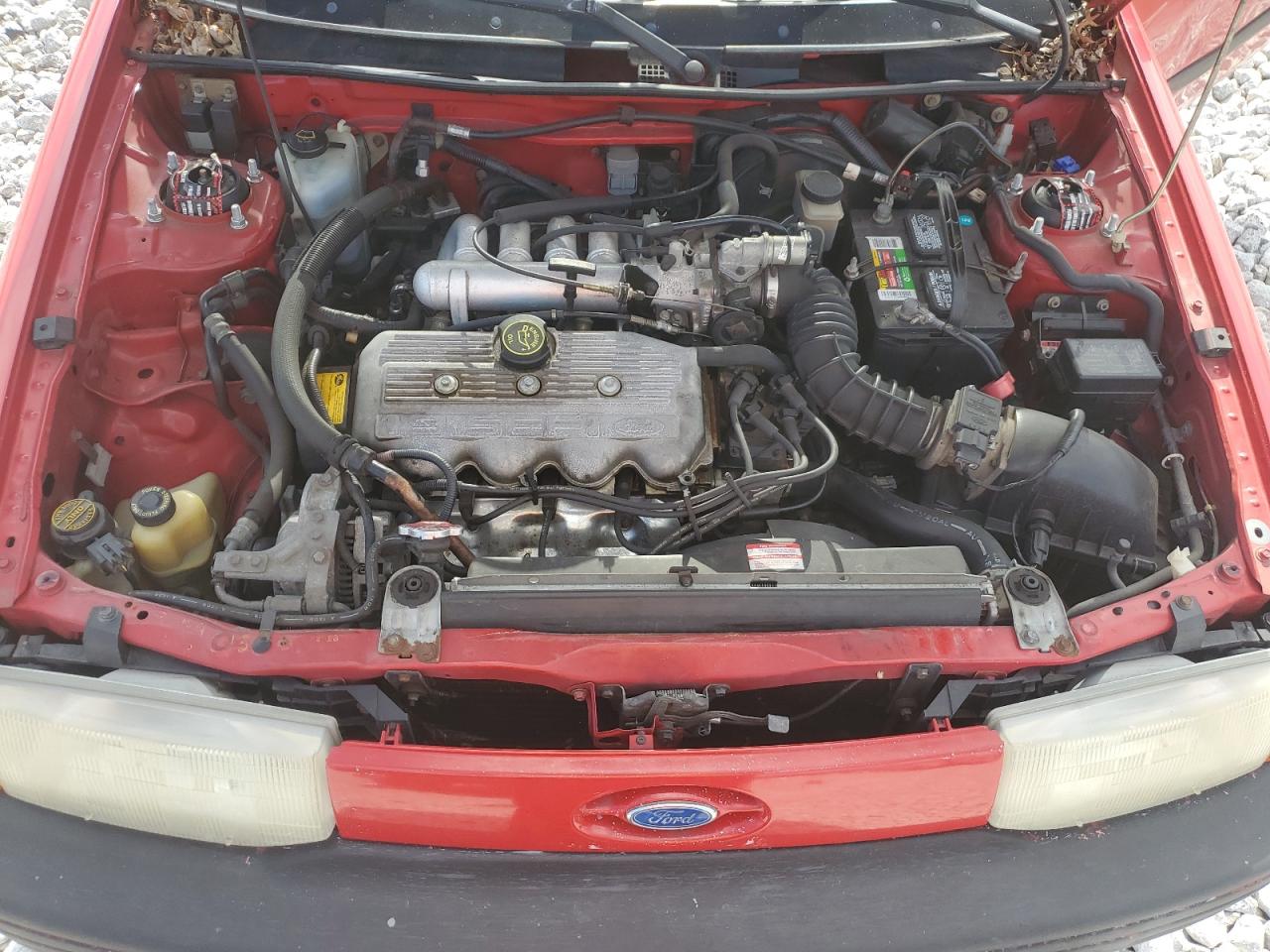 1992 Ford Escort Lx Red vin: 1FAPP11J8NW173217