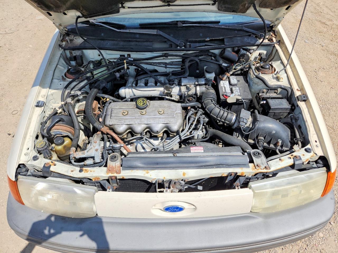 1991 Ford Escort Lx Cream vin: 1FAPP14J4MW322863