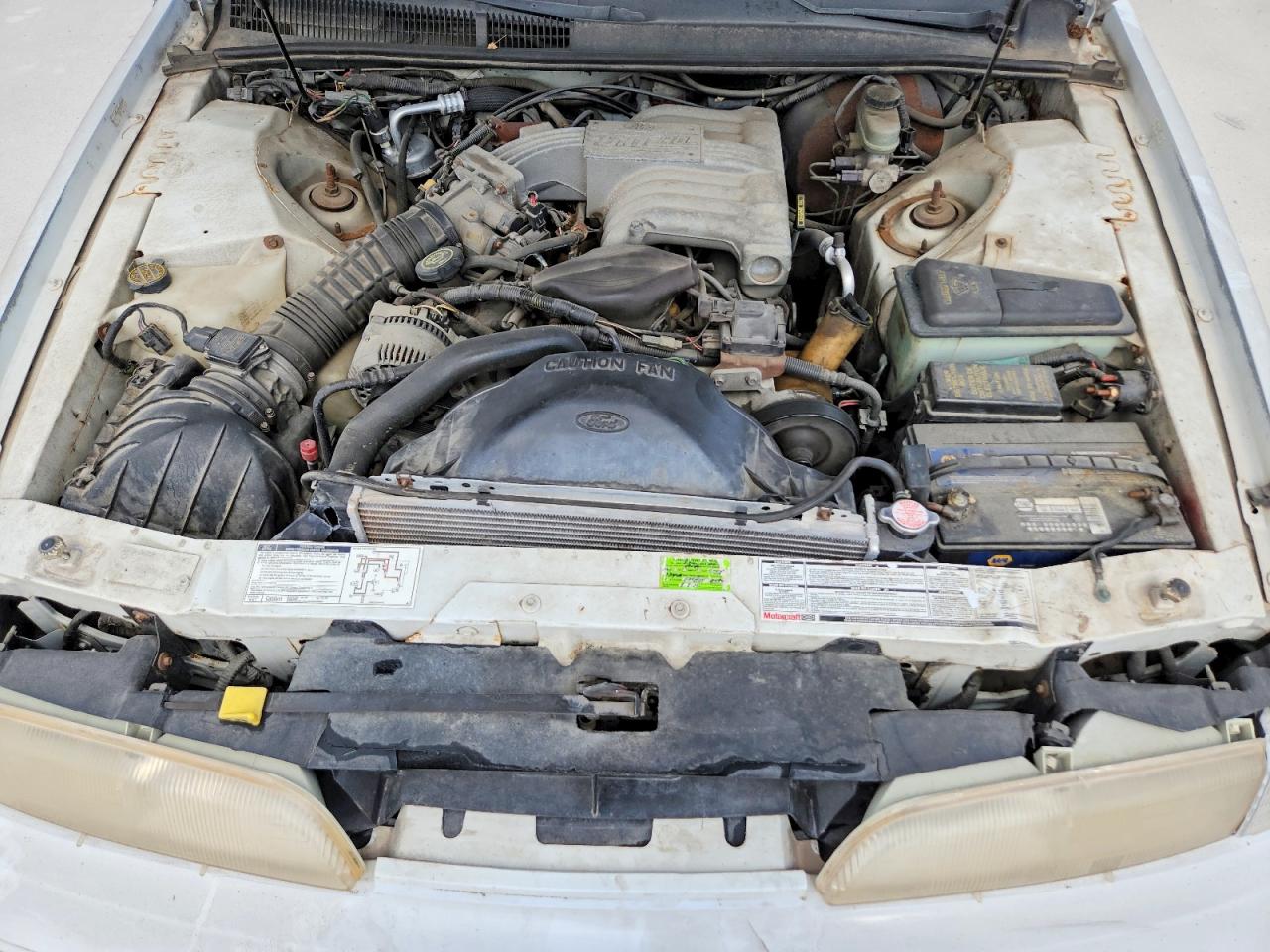 1992 Ford Thunderbird White vin: 1FAPP60T8NH175926