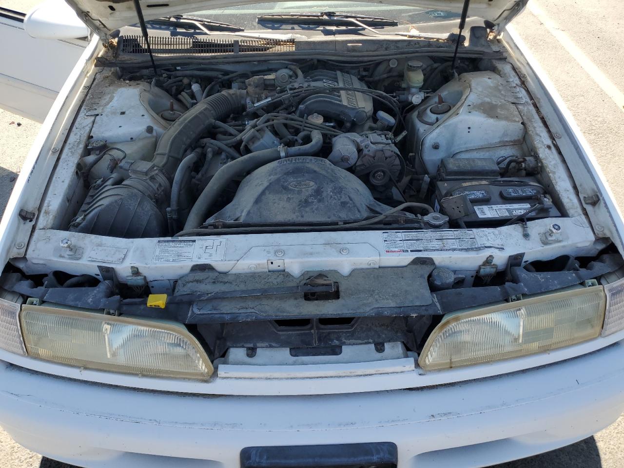 1993 Ford Thunderbird Lx White vin: 1FAPP6242PH206662