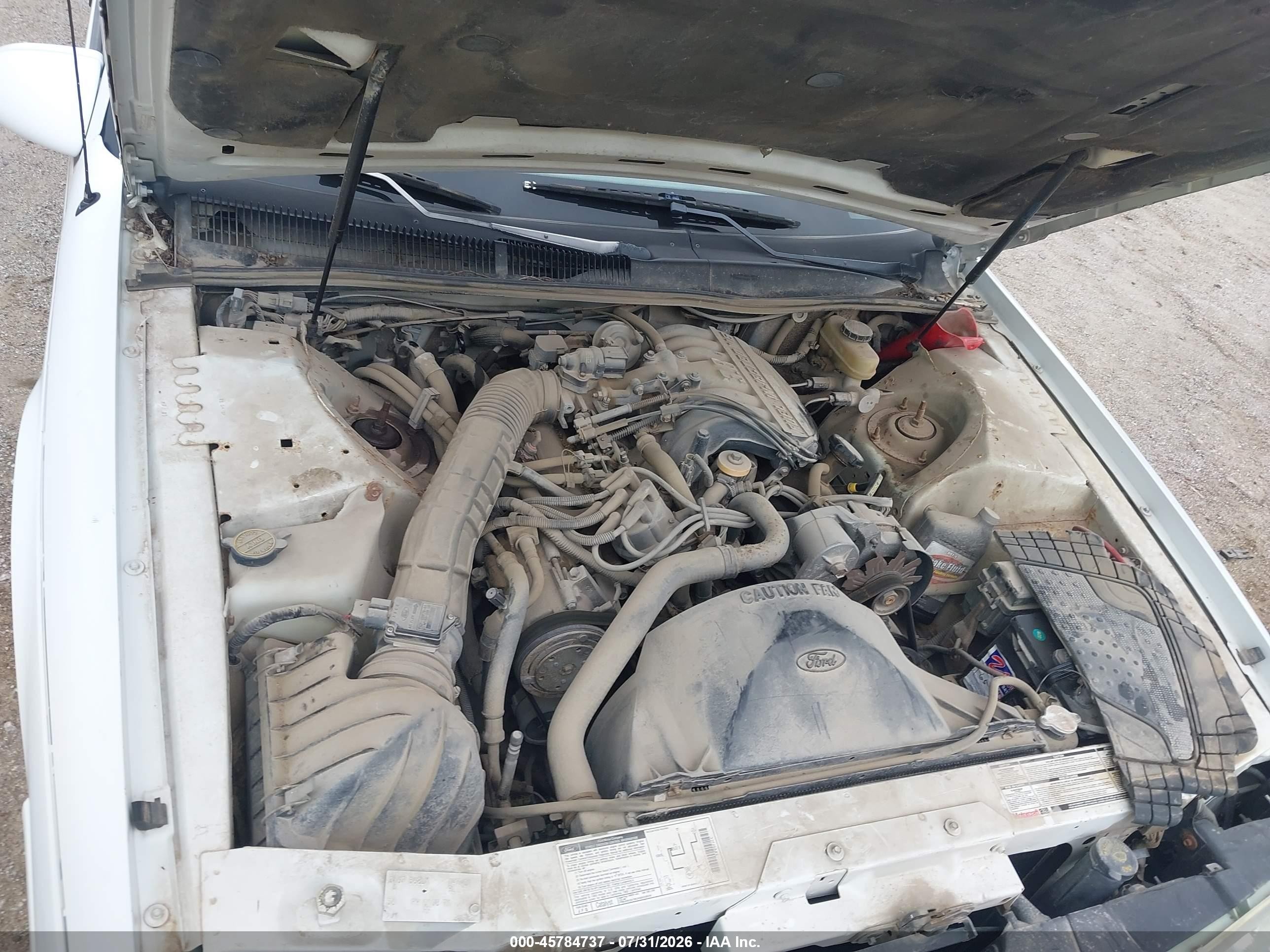 1993 Ford Thunderbird Lx White vin: 1FAPP6247PH147401