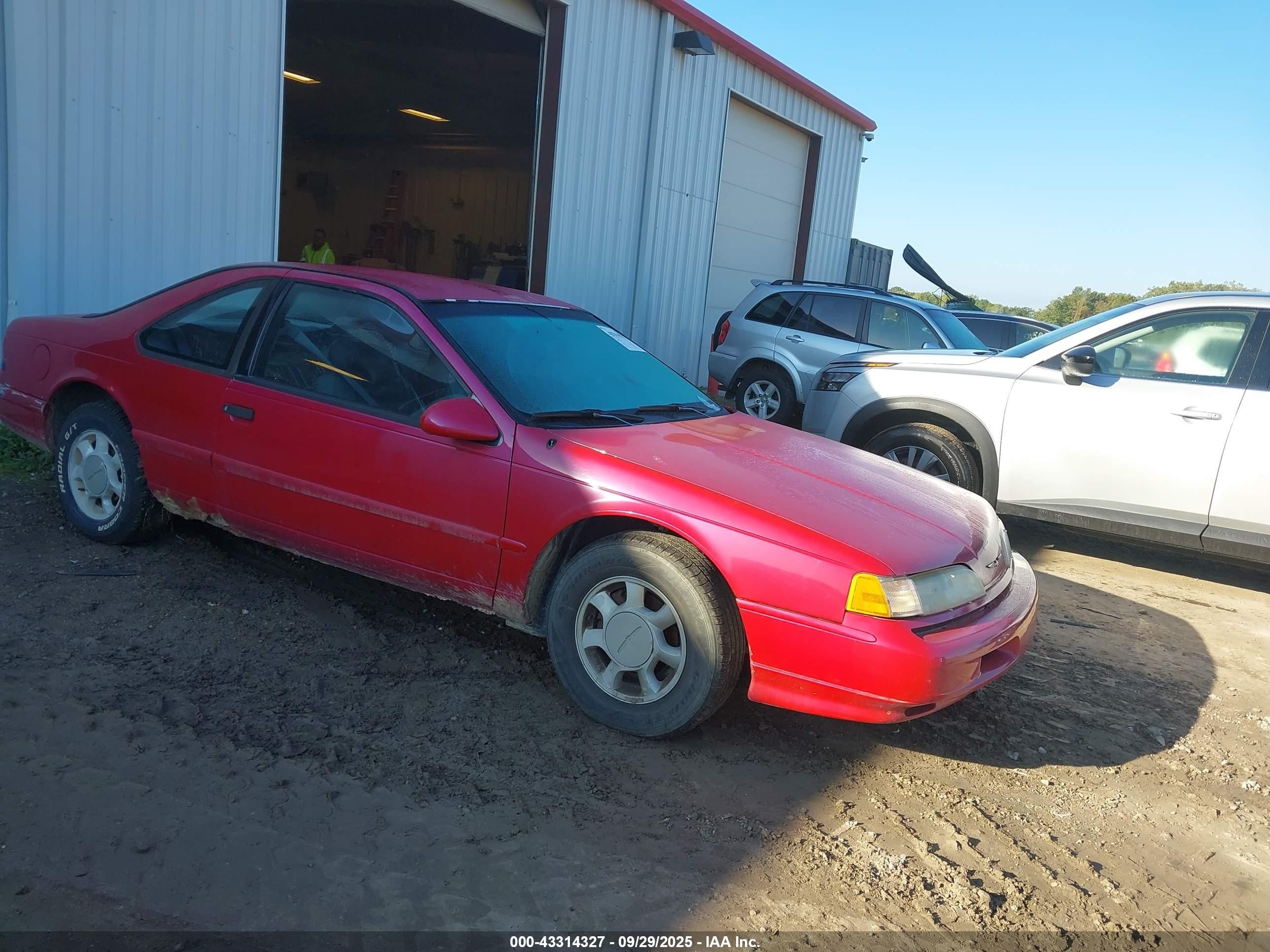 1993 Ford Thunderbird Lx Красный vin: 1FAPP624XPH182837