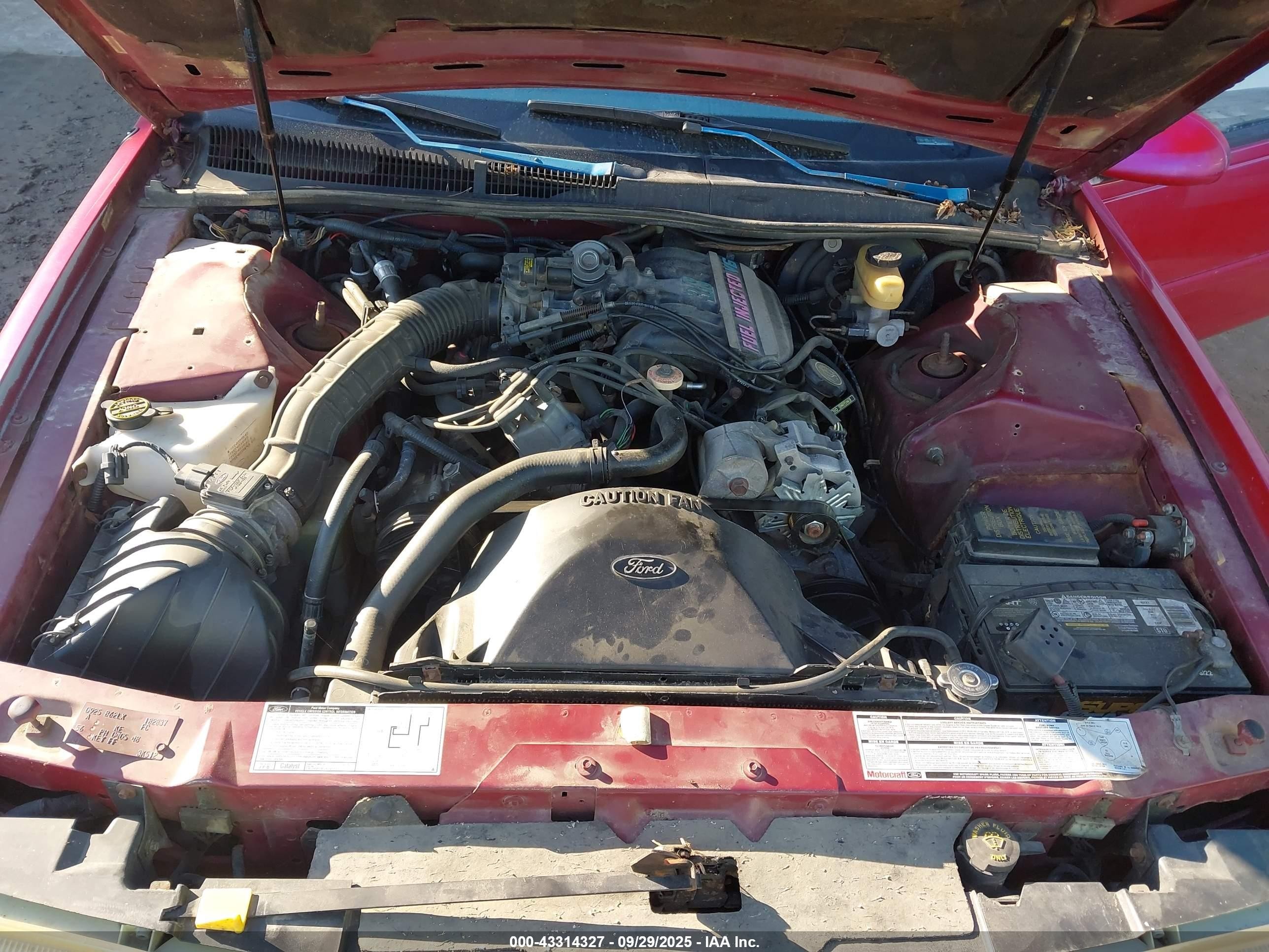 1993 Ford Thunderbird Lx Red vin: 1FAPP624XPH182837