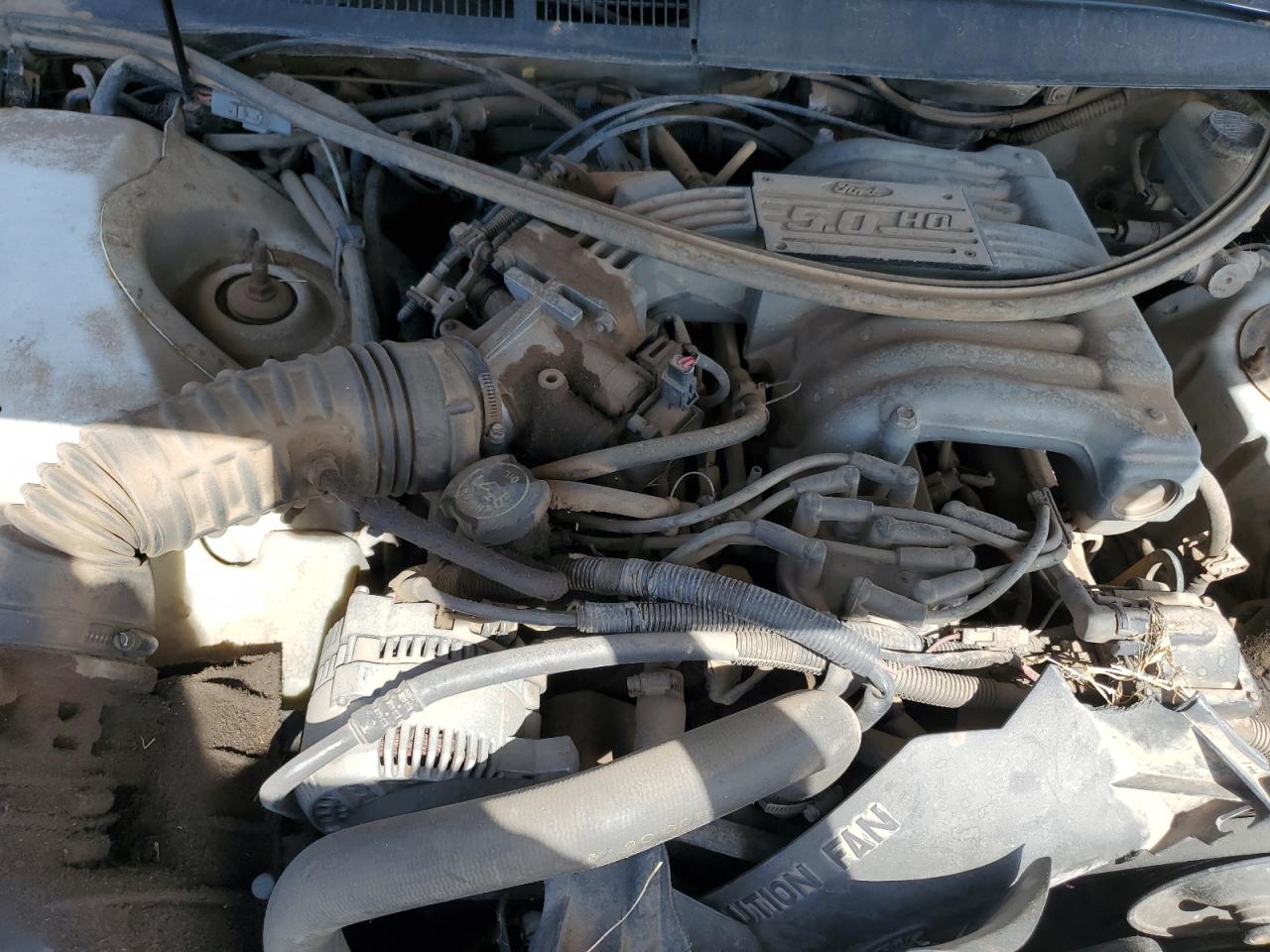 1991 Ford Thunderbird Lx Белый vin: 1FAPP62T0MH148473