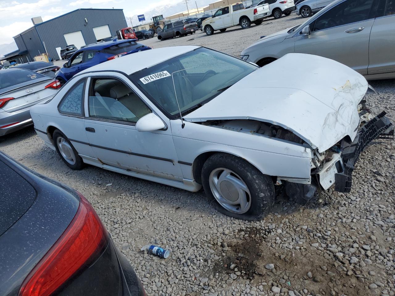 1991 Ford Thunderbird Lx Белый vin: 1FAPP62T0MH148473