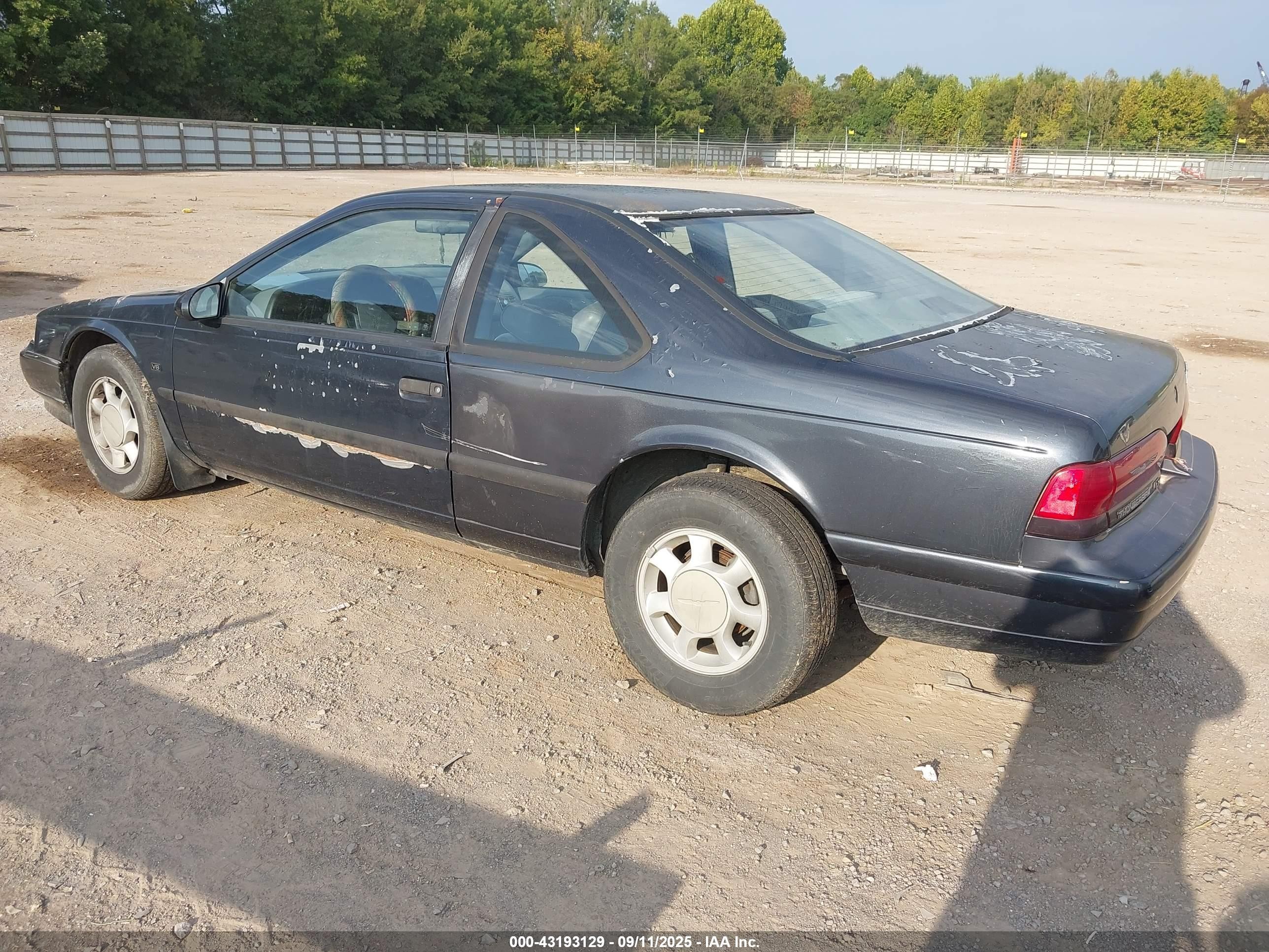 1993 Ford Thunderbird Lx Black vin: 1FAPP62T2PH100428