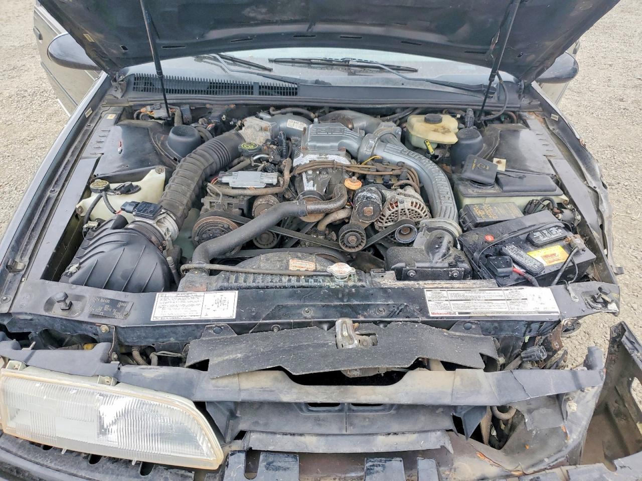 1990 Ford Thunderbird Super Coupe Black vin: 1FAPP64RXLH152661