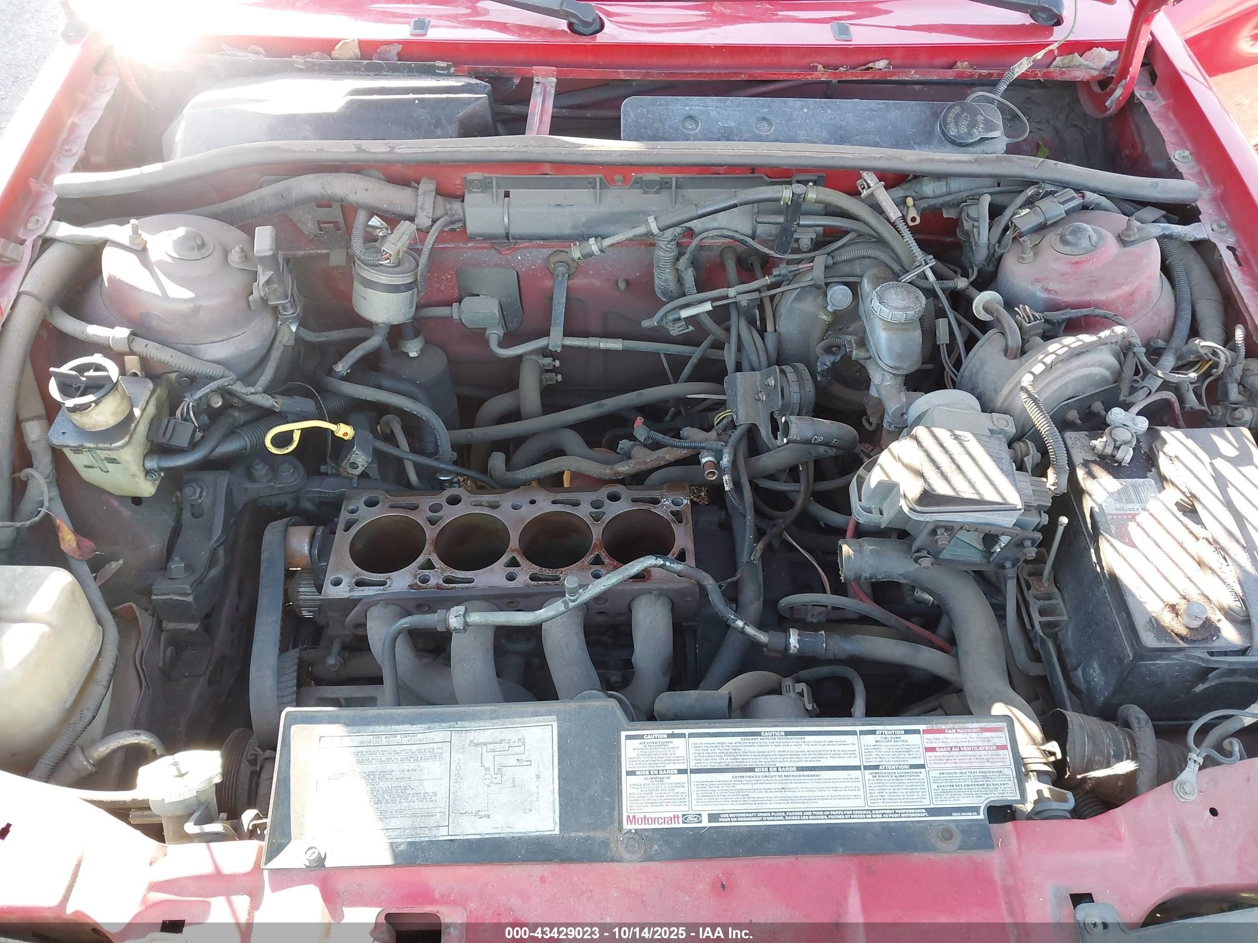 1989 Ford Escort Gt Red vin: 1FAPP93J4KW201117