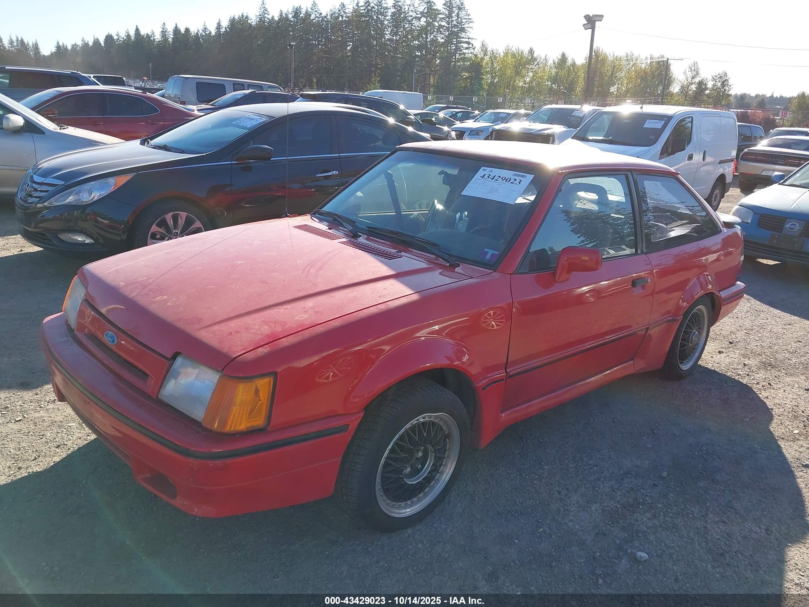 1989 Ford Escort Gt Red vin: 1FAPP93J4KW201117