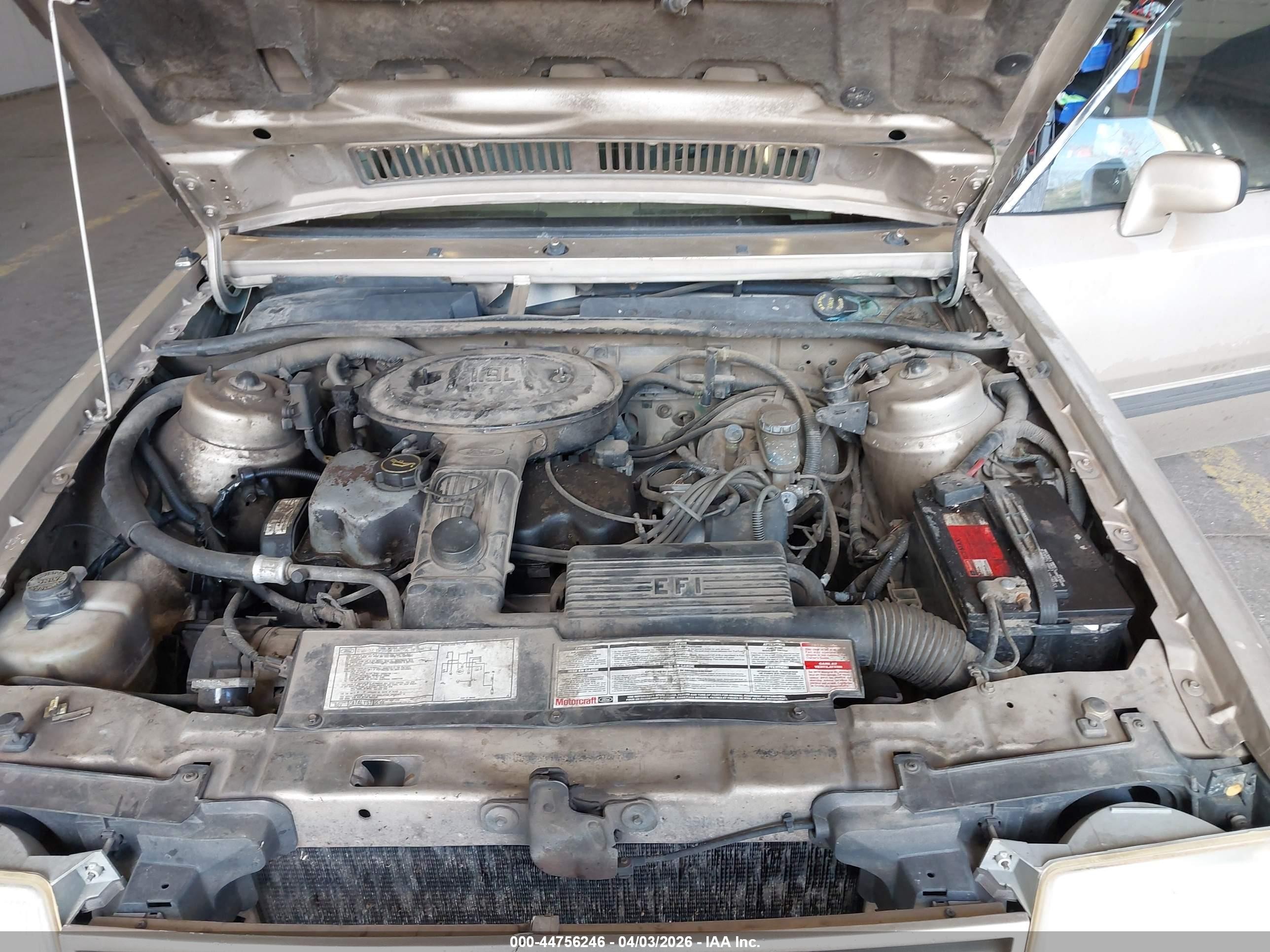 1989 Ford Escort Lx Бежевый vin: 1FAPP9590KW331222