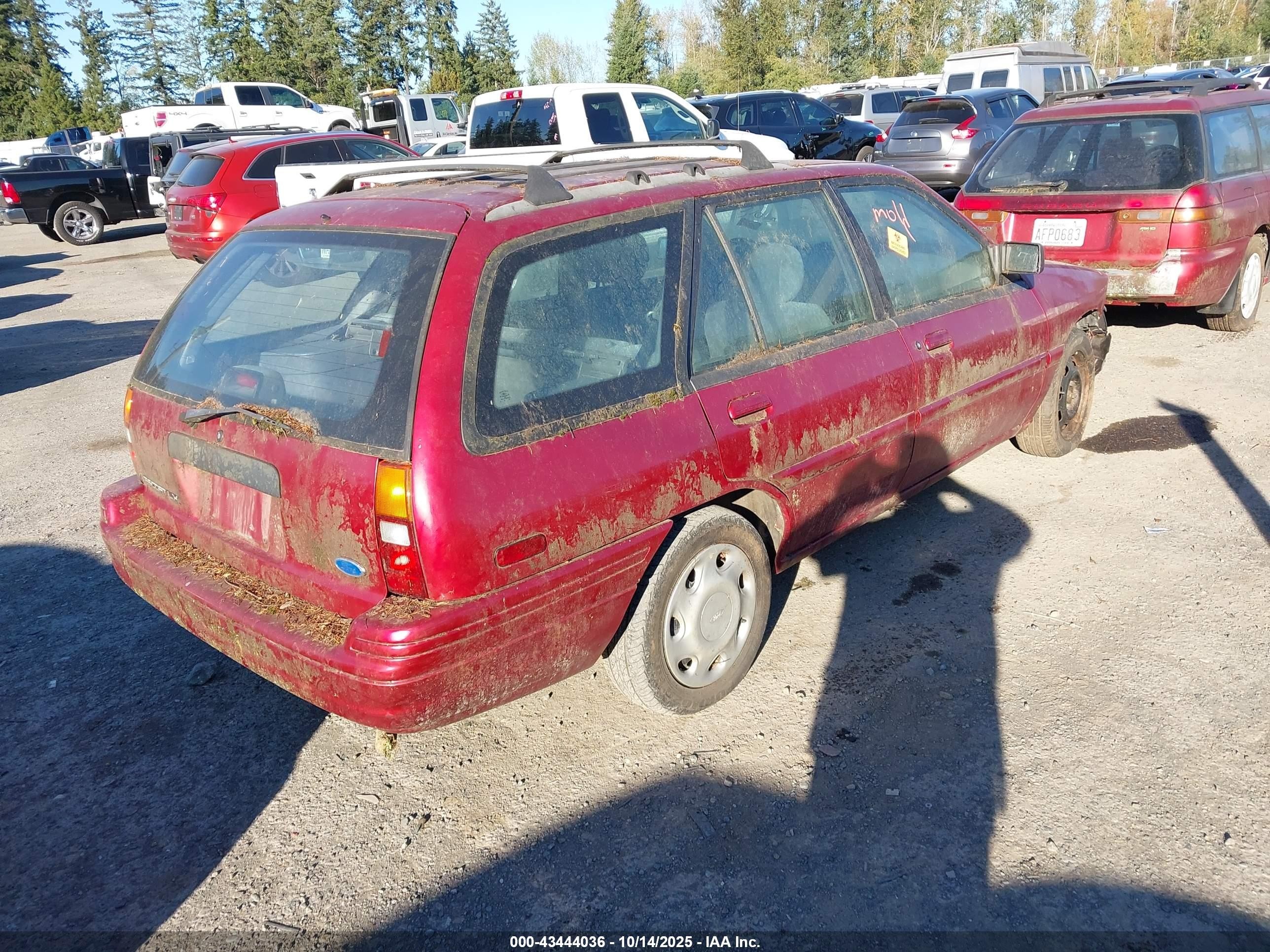 1994 Ford Escort Lx/sport Red vin: 1FARP15J0RW123324