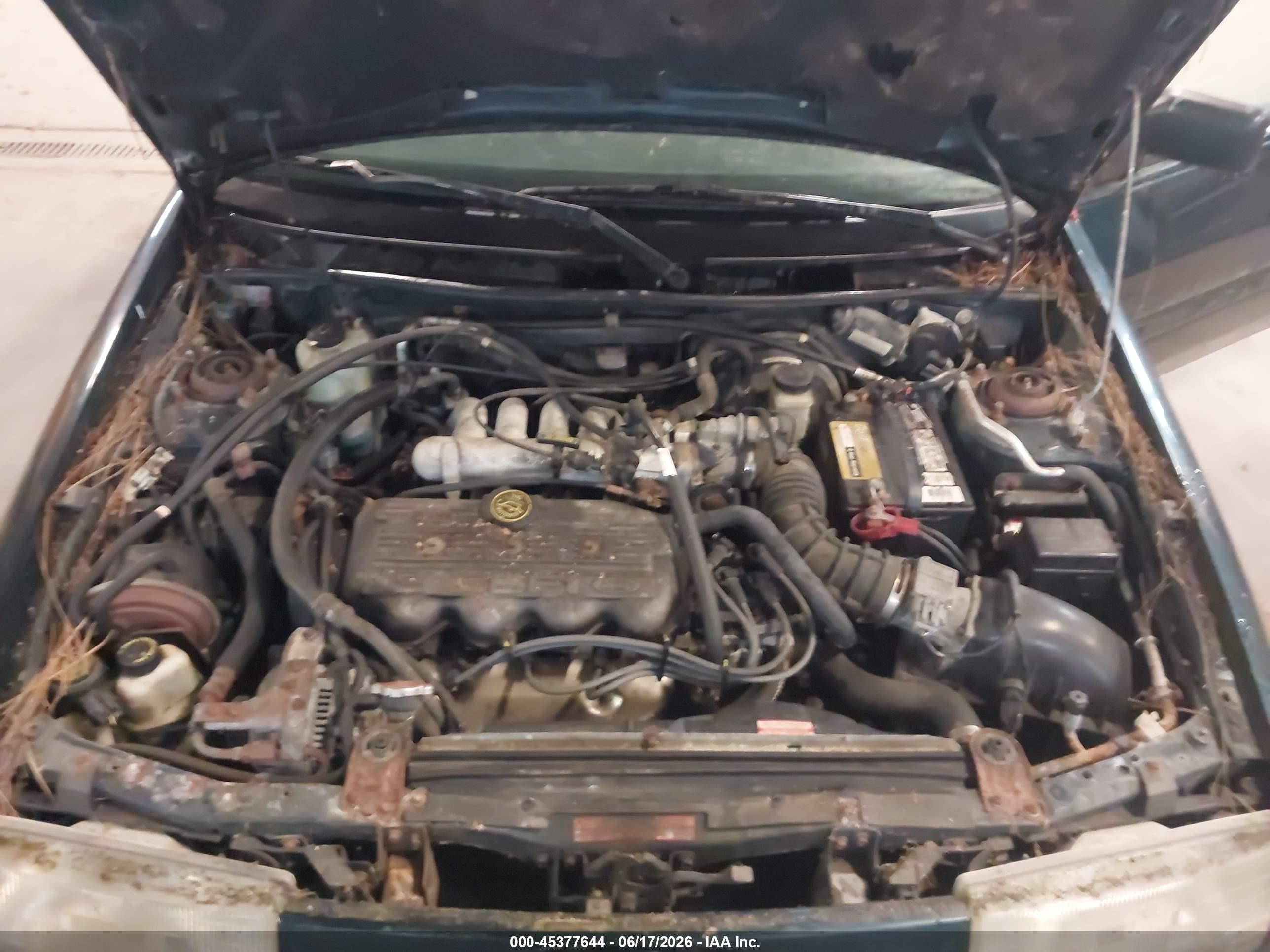 1995 Ford Escort Lx/sport Green vin: 1FASP11J3SW340380