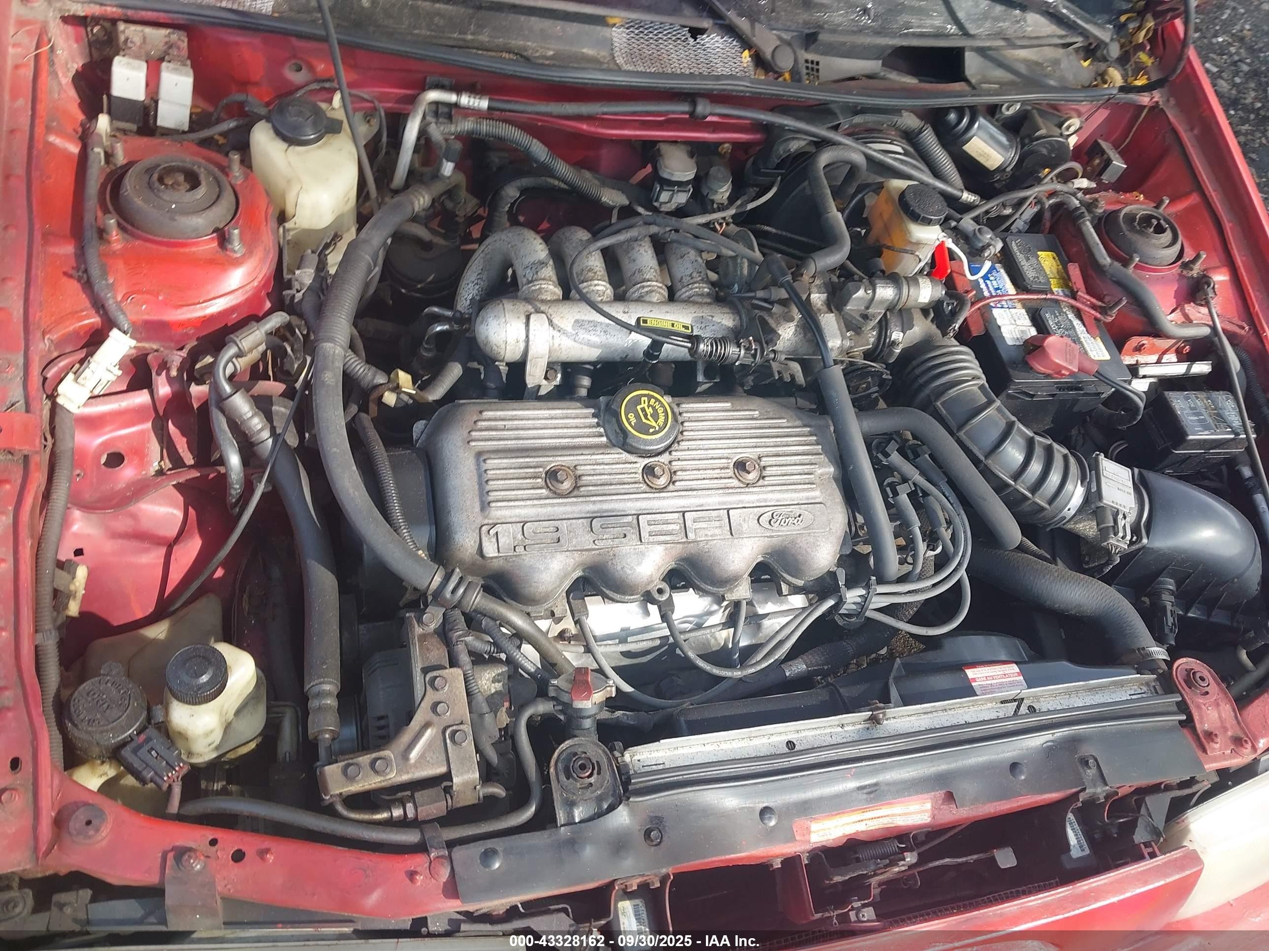 1995 Ford Escort Lx/sport Red vin: 1FASP11JXSW231950