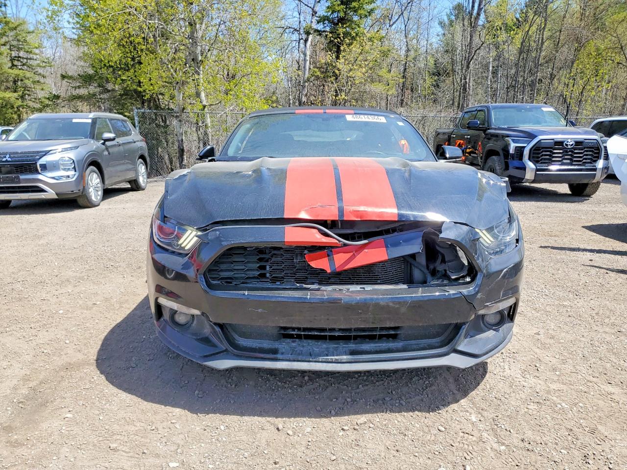 2017 Ford Mustang Black vin: 1FATP8EM4H5321031