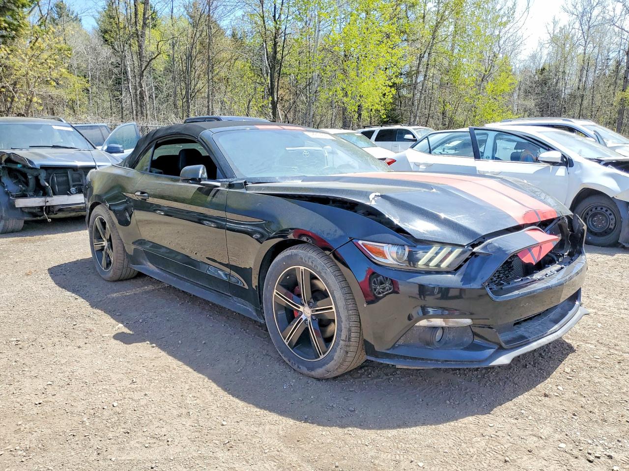 2017 Ford Mustang Black vin: 1FATP8EM4H5321031