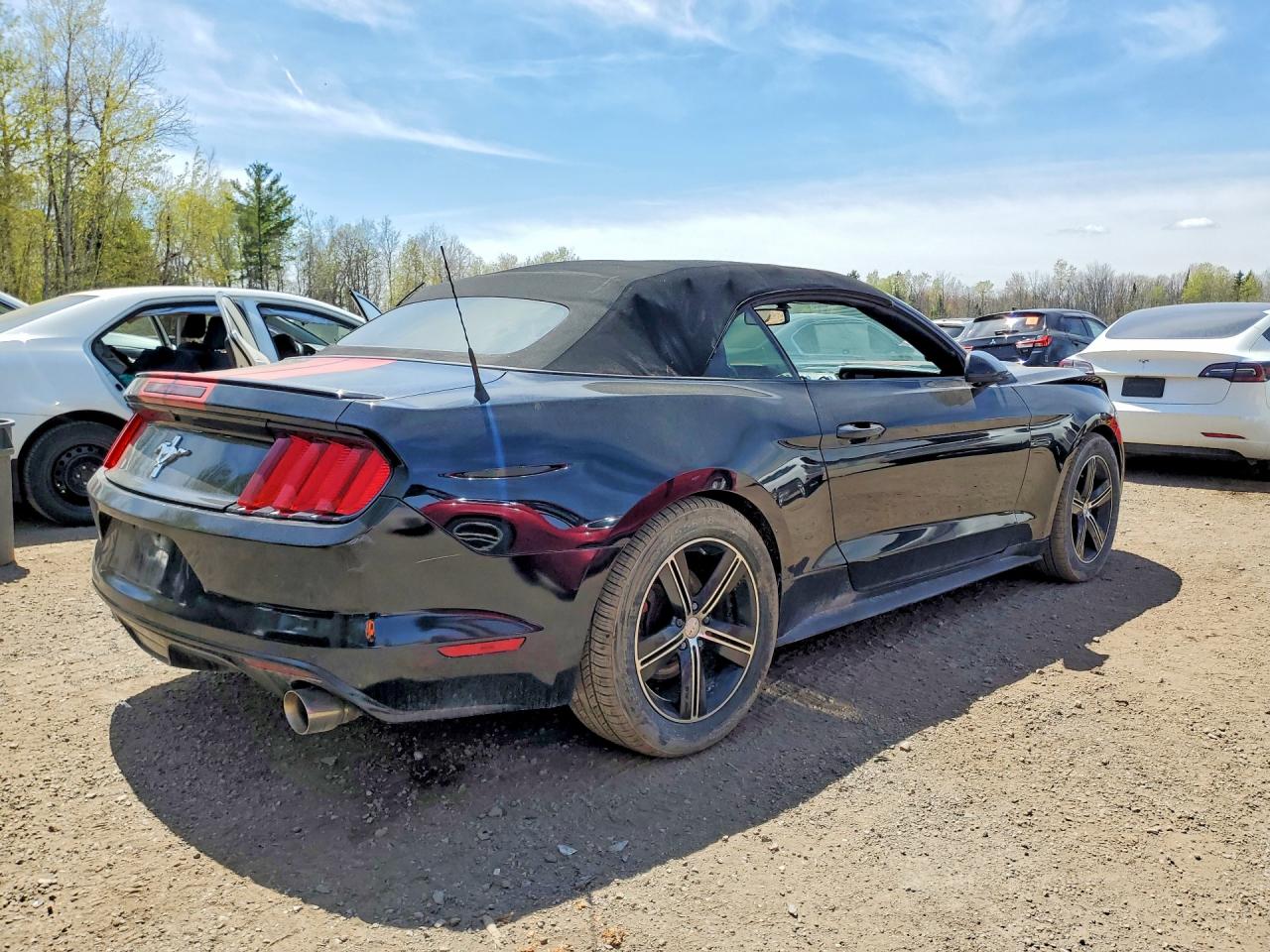 2017 Ford Mustang Black vin: 1FATP8EM4H5321031