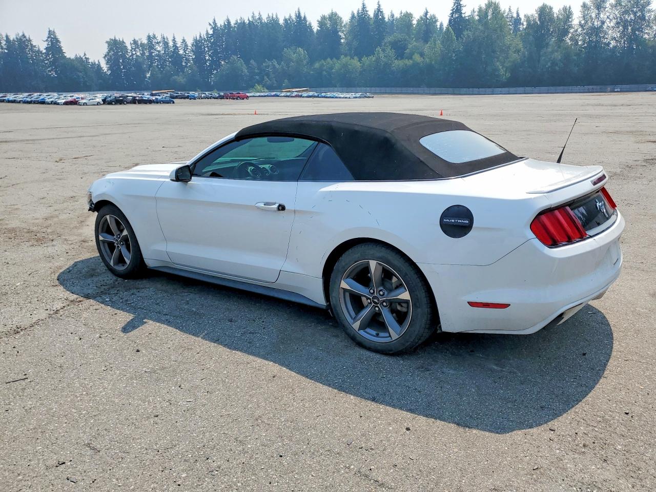 2015 Ford Mustang White vin: 1FATP8EM9F5329526