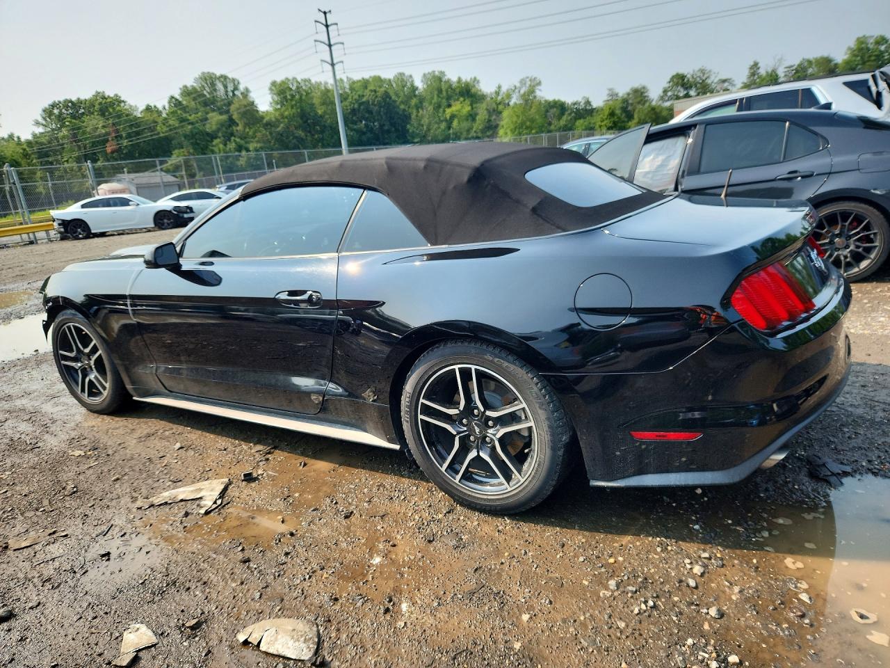 2015 Ford Mustang Black vin: 1FATP8EM9F5374675