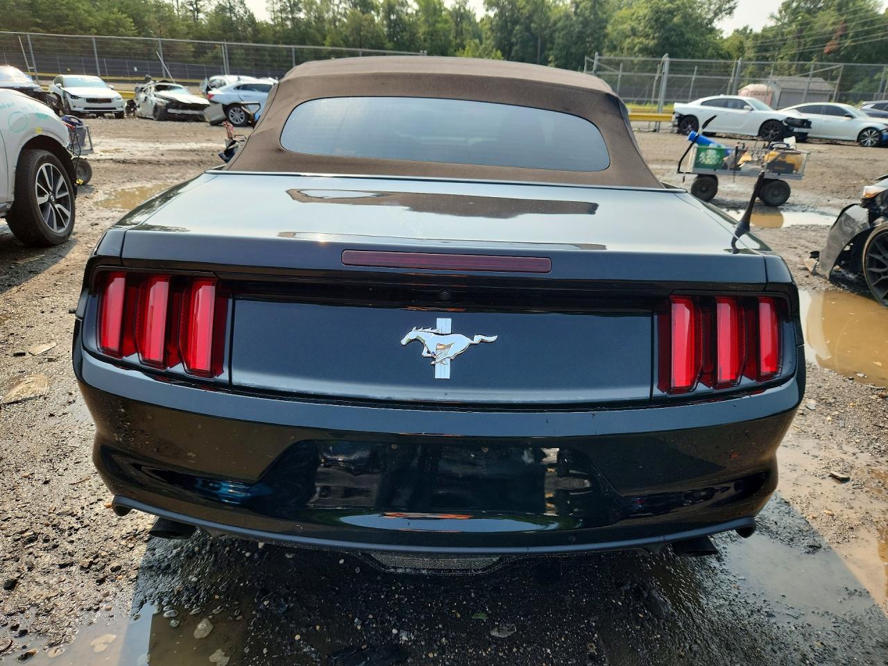 2015 Ford Mustang Black vin: 1FATP8EM9F5374675