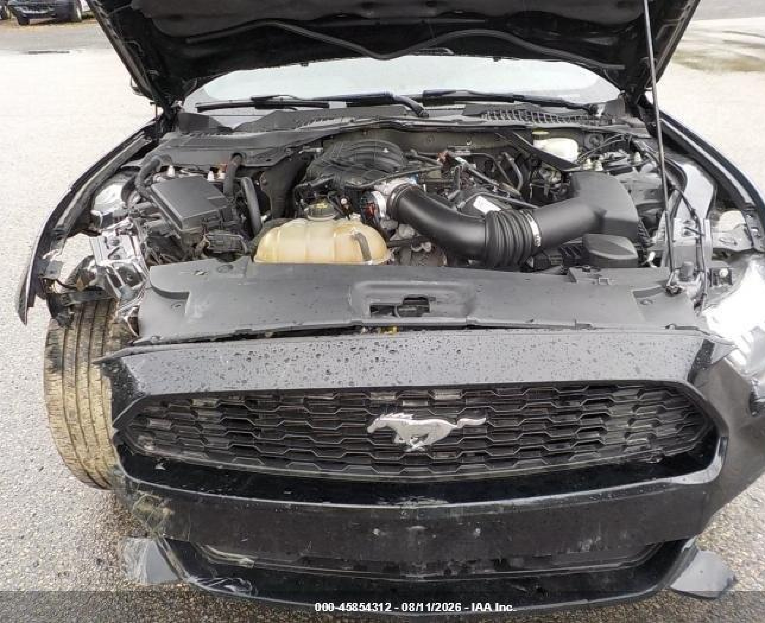 2015 Ford Mustang V6 Black vin: 1FATP8EM9F5377656