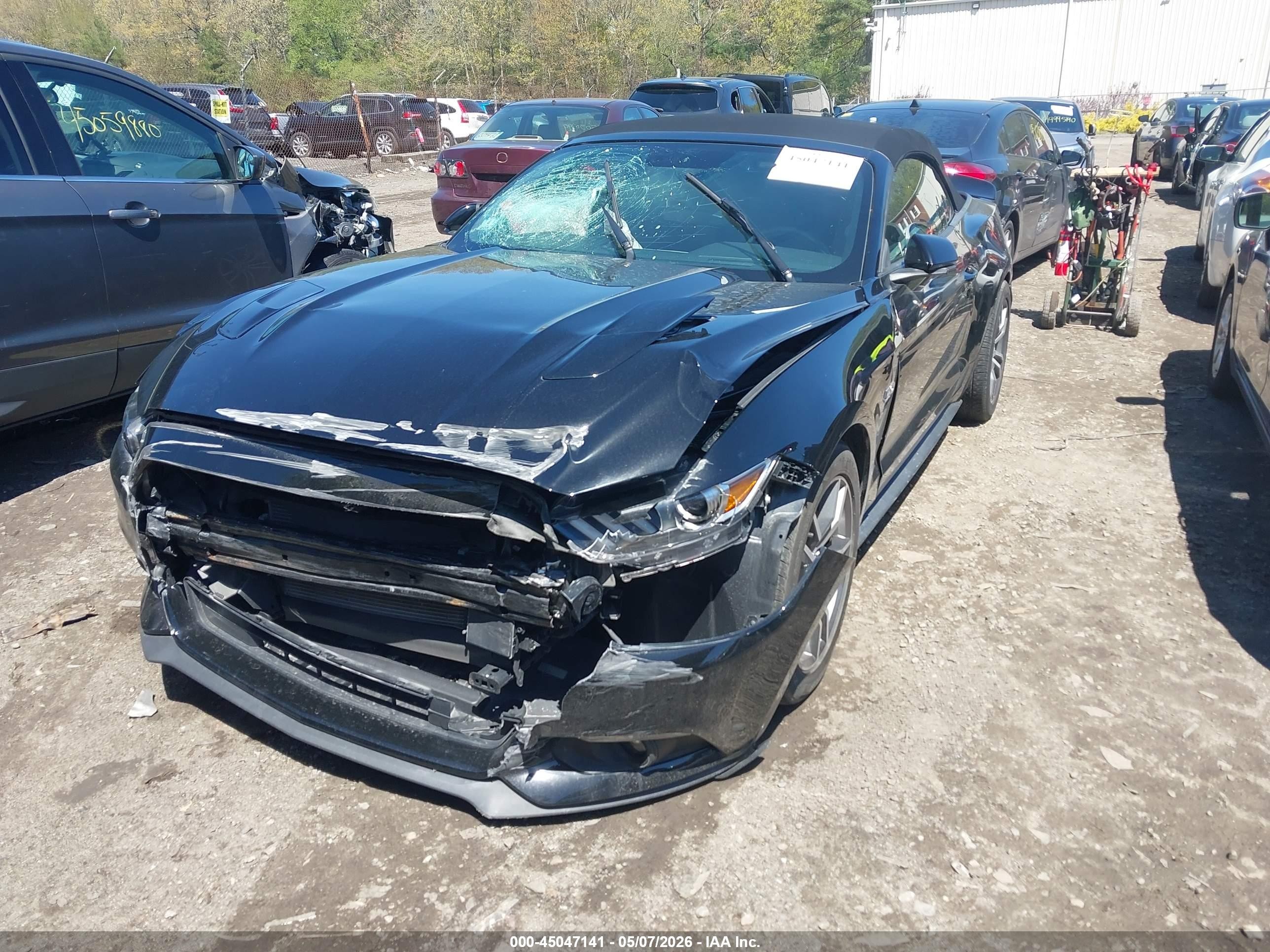 2015 Ford Mustang Gt Premium Black vin: 1FATP8FF4F5328400