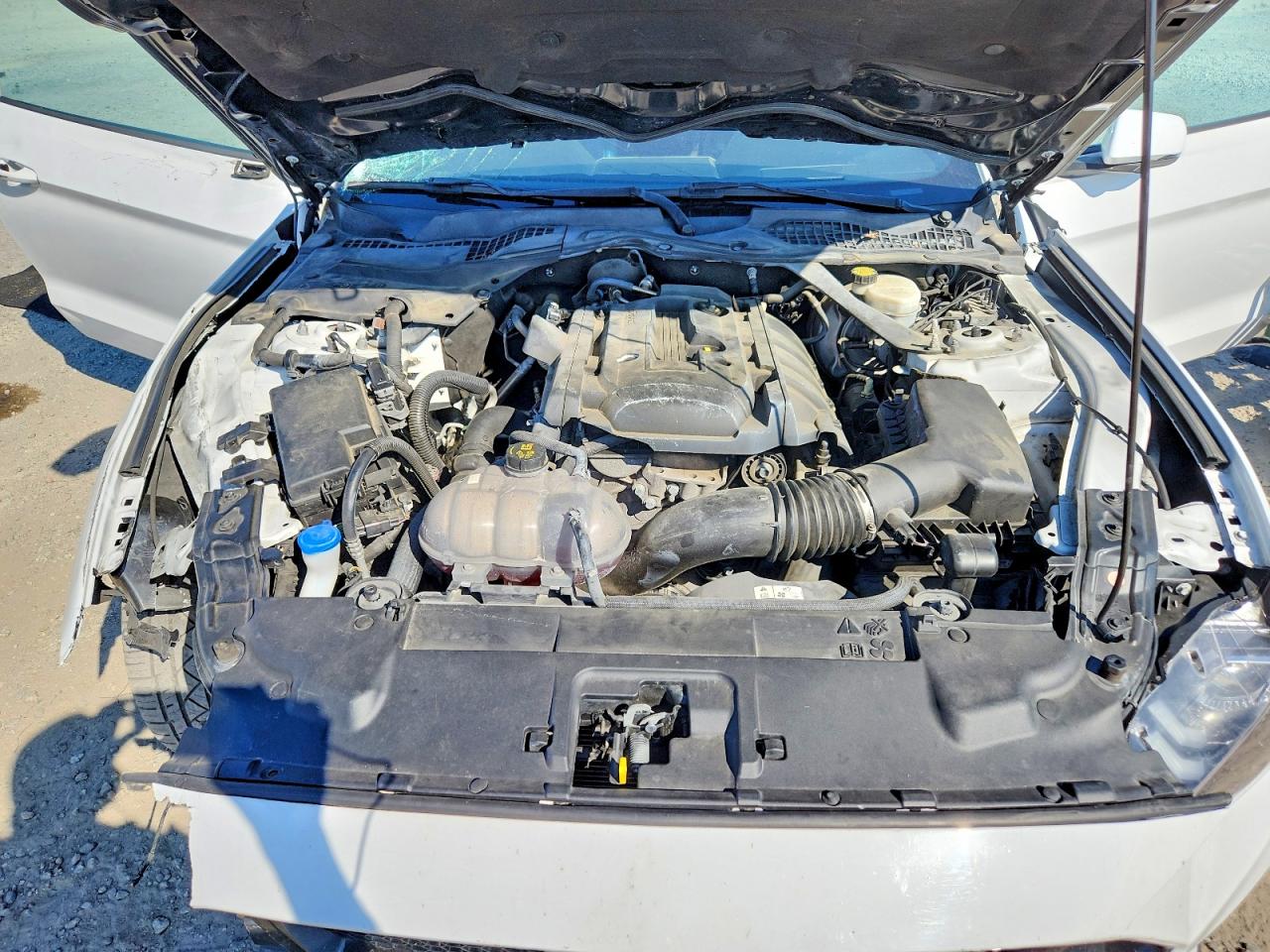 2018 Ford Mustang White vin: 1FATP8UH1J5124389
