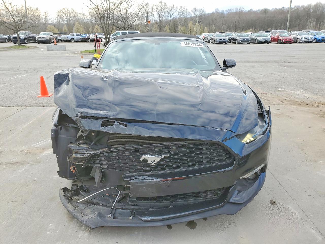 2017 Ford Mustang Black vin: 1FATP8UH2H5245099