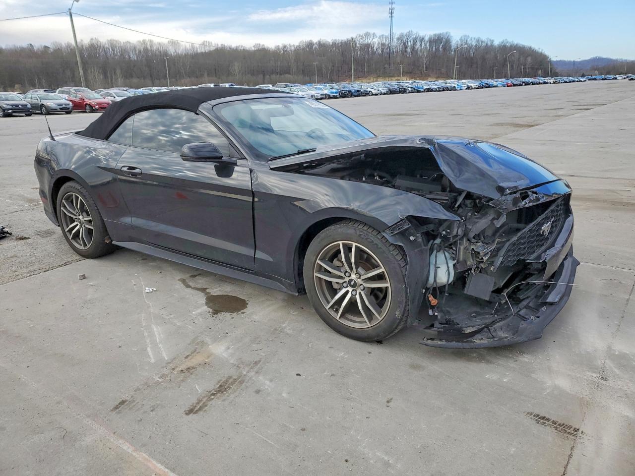 2017 Ford Mustang Black vin: 1FATP8UH2H5245099