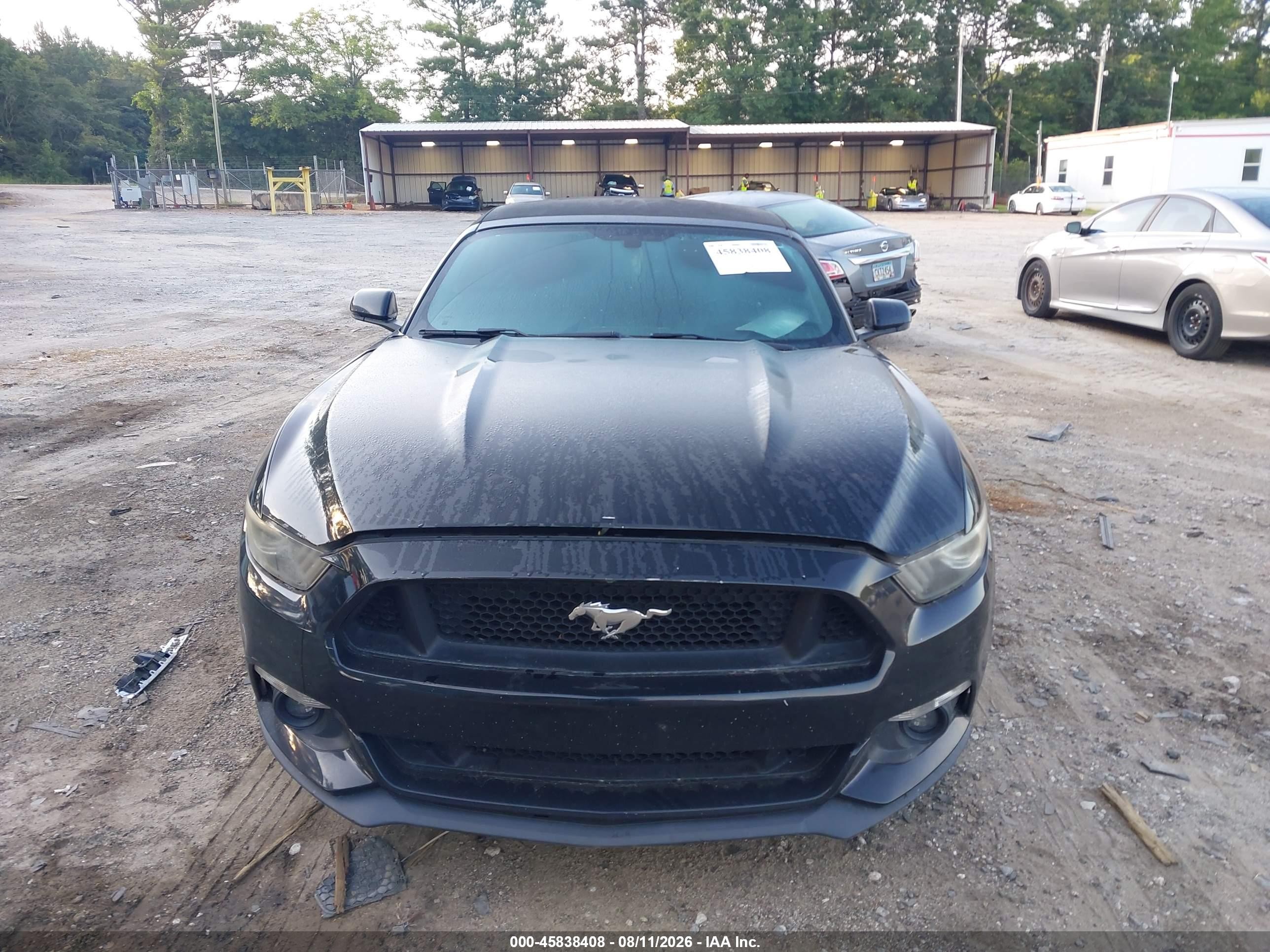 2015 Ford Mustang Ecoboost Premium Black vin: 1FATP8UH3F5343572