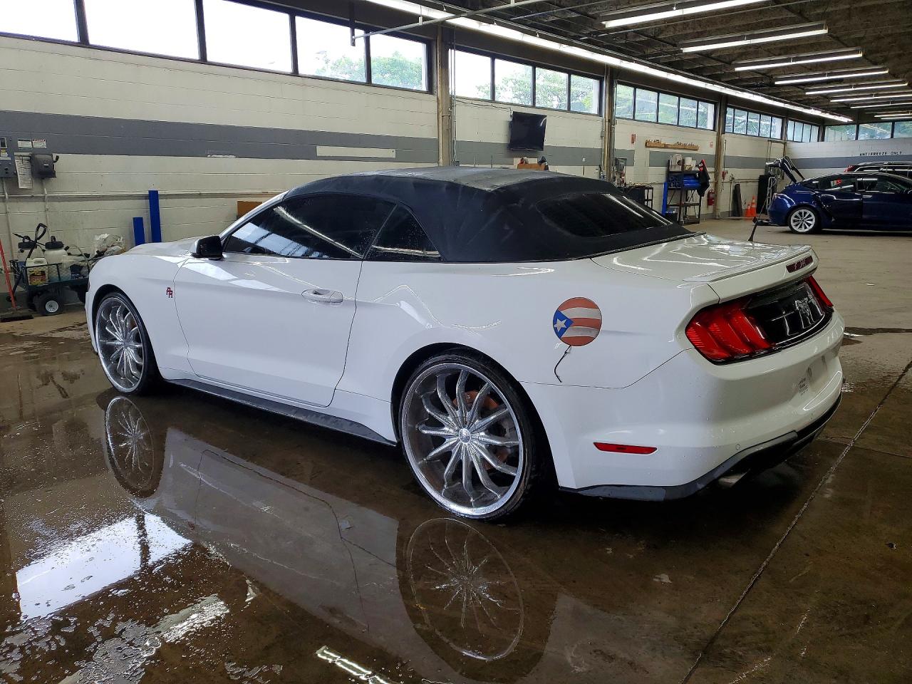 2019 Ford Mustang White vin: 1FATP8UH5K5170292