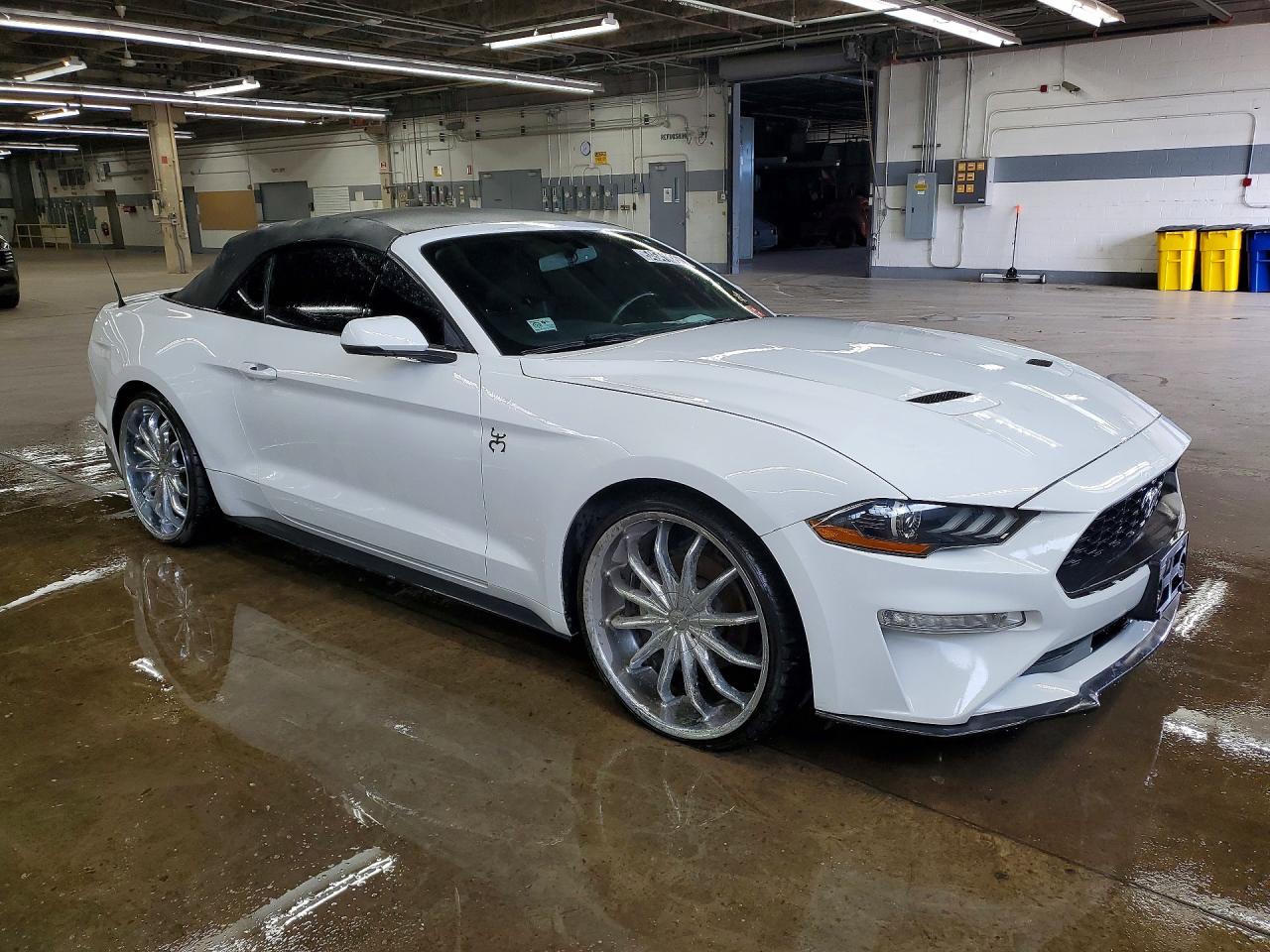 2019 Ford Mustang White vin: 1FATP8UH5K5170292