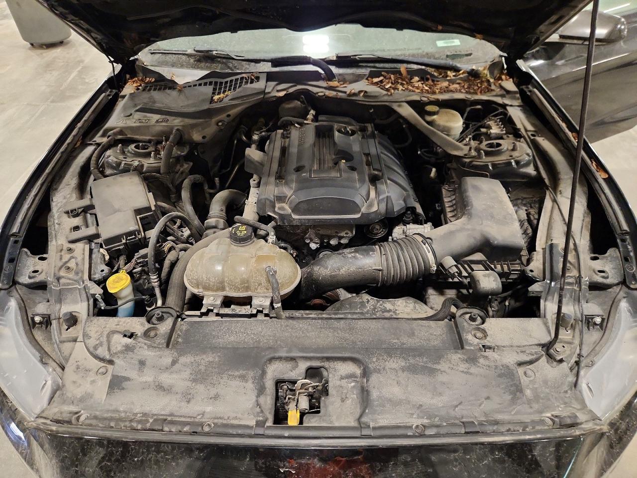 2015 Ford Mustang Черный vin: 1FATP8UH6F5396752