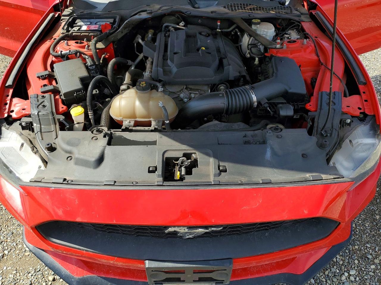 2018 Ford Mustang Красный vin: 1FATP8UH6J5110133