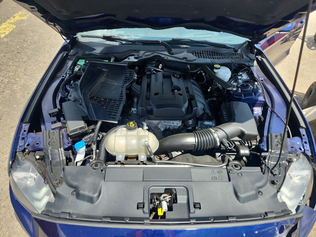 2020 Ford Mustang Blue vin: 1FATP8UH8L5168408