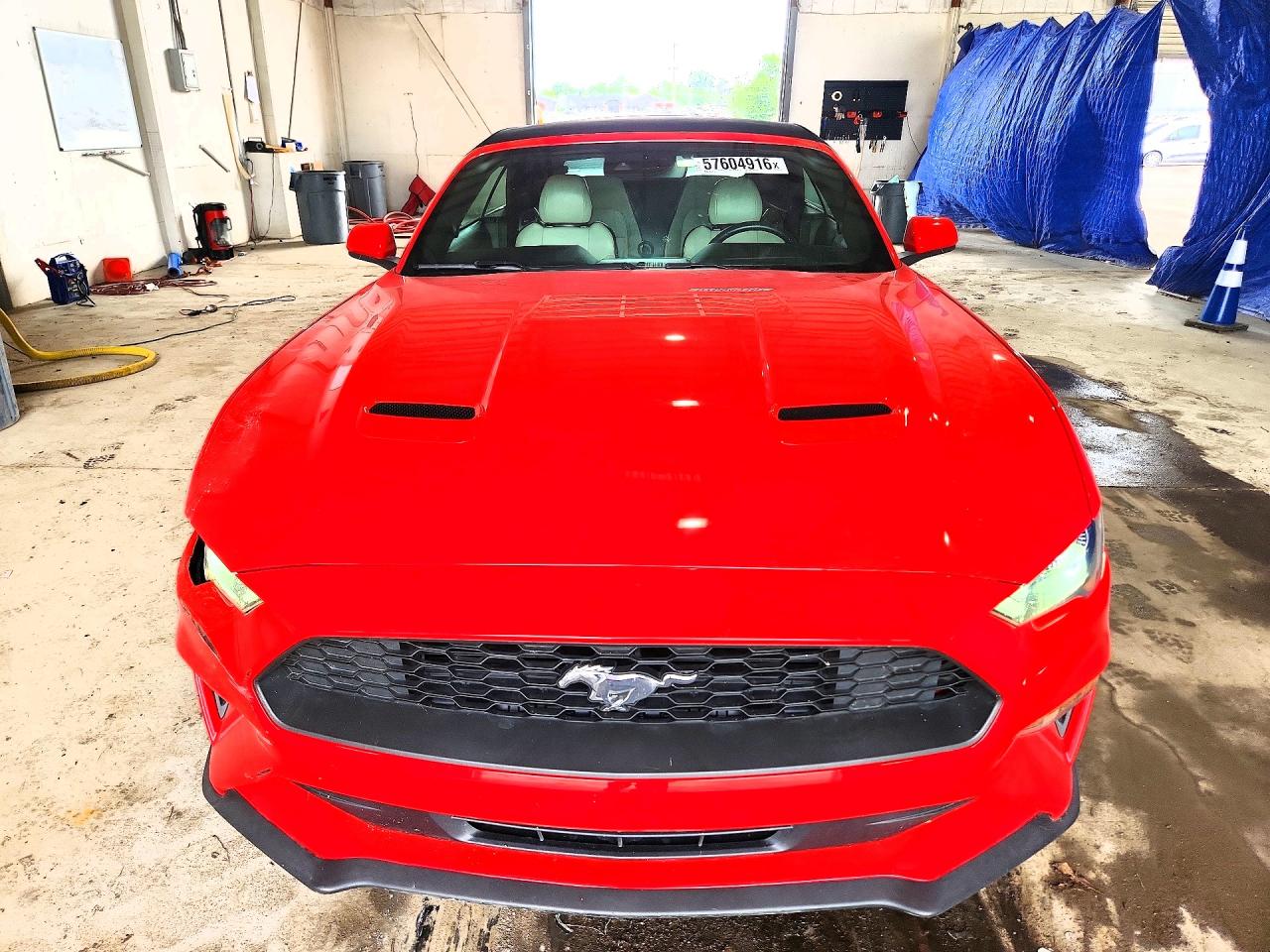2022 Ford Mustang Красный vin: 1FATP8UH9N5102856