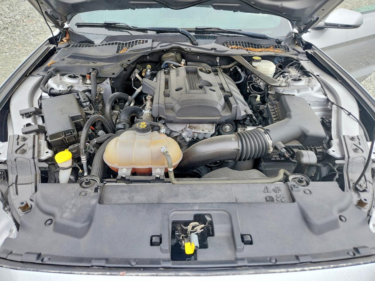 2020 Ford Mustang Silver vin: 1FATP8UHXL5106136