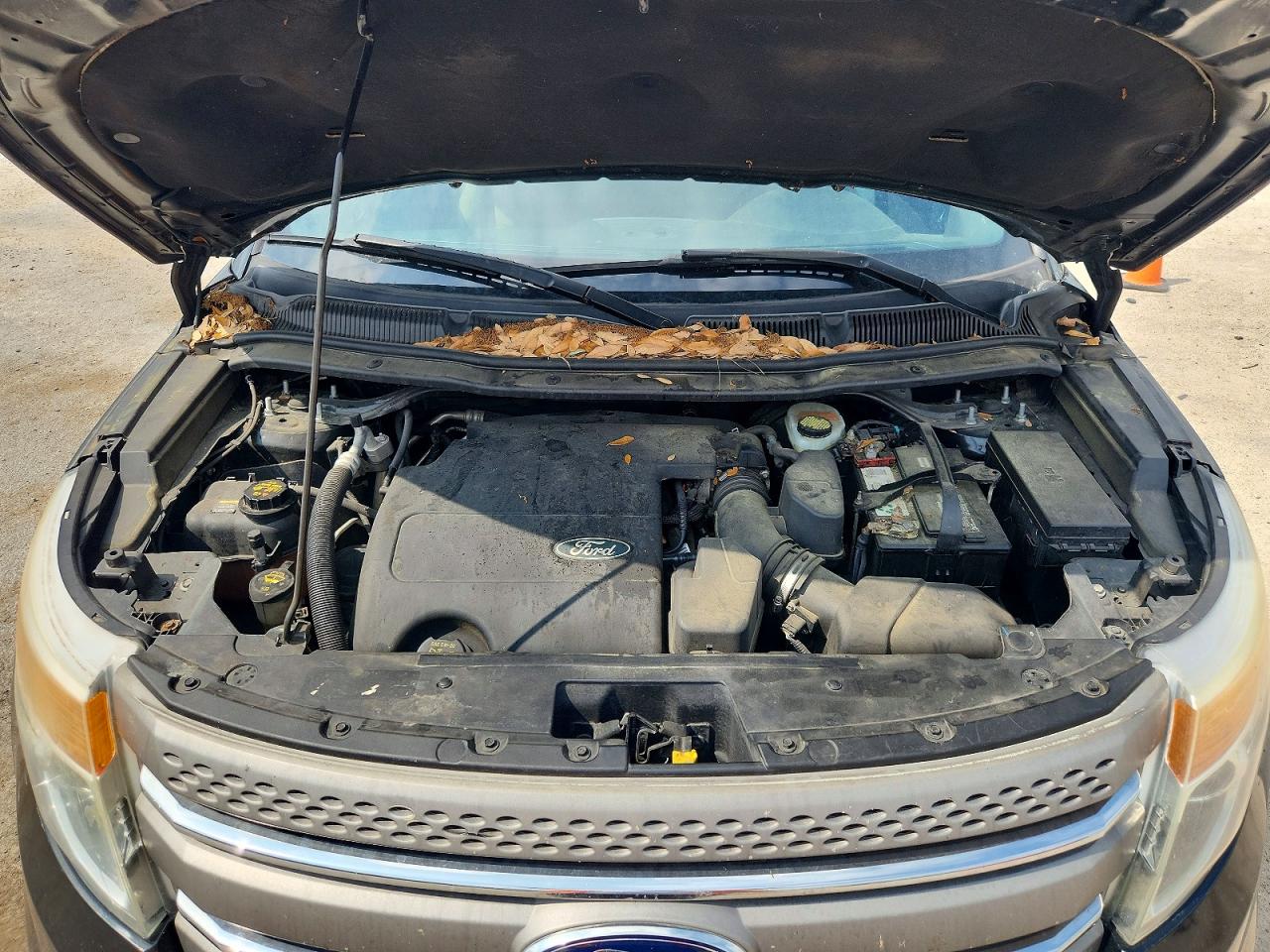 2013 Ford Explorer Black vin: 1FM5K8B81DGA94383