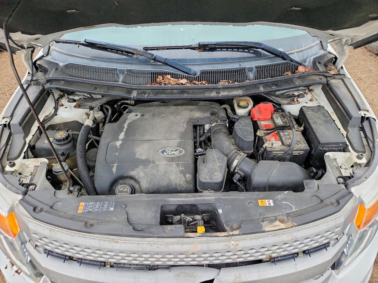 2015 Ford Explorer Белый vin: 1FM5K8B87FGB09956