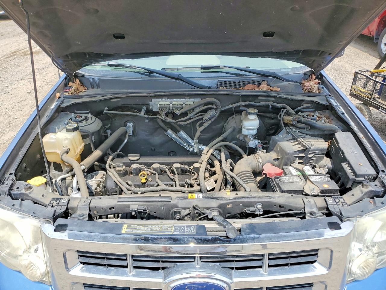 2009 Ford Escape Blue vin: 1FMCU02789KA26838