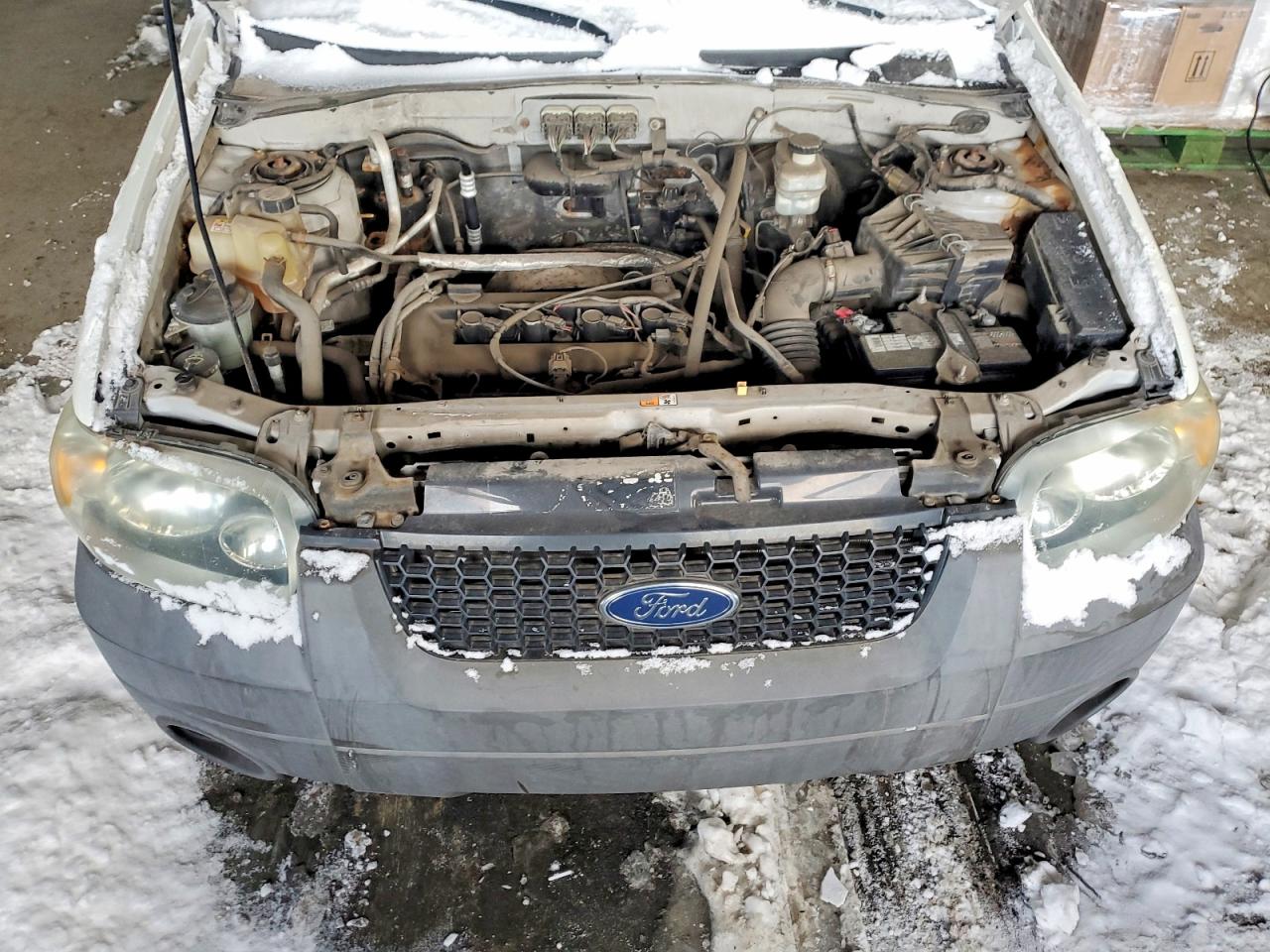 2007 Ford Escape Xls White vin: 1FMCU02Z87KB67794