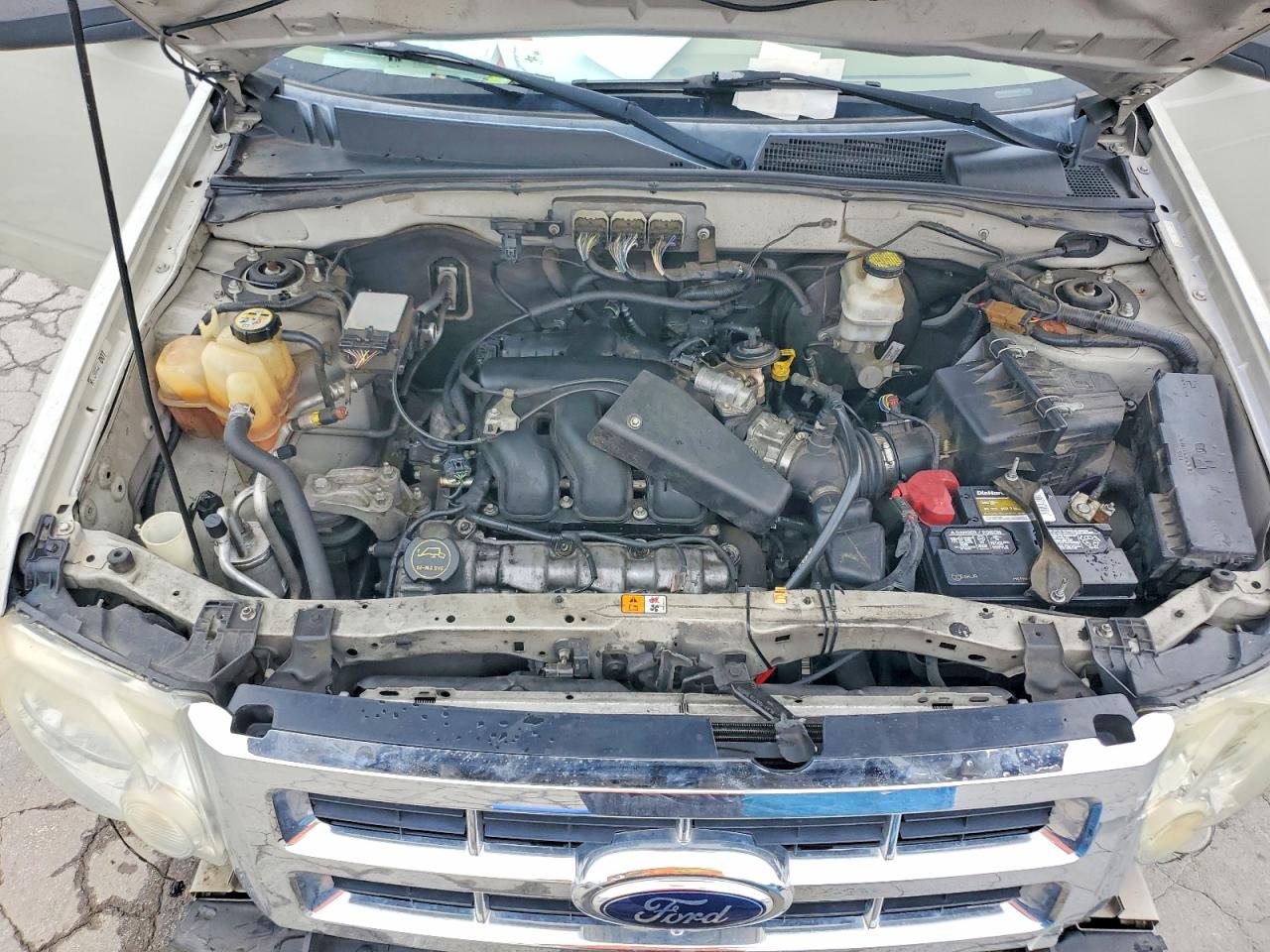 2008 Ford Escape Xlt Beige vin: 1FMCU03108KD85562