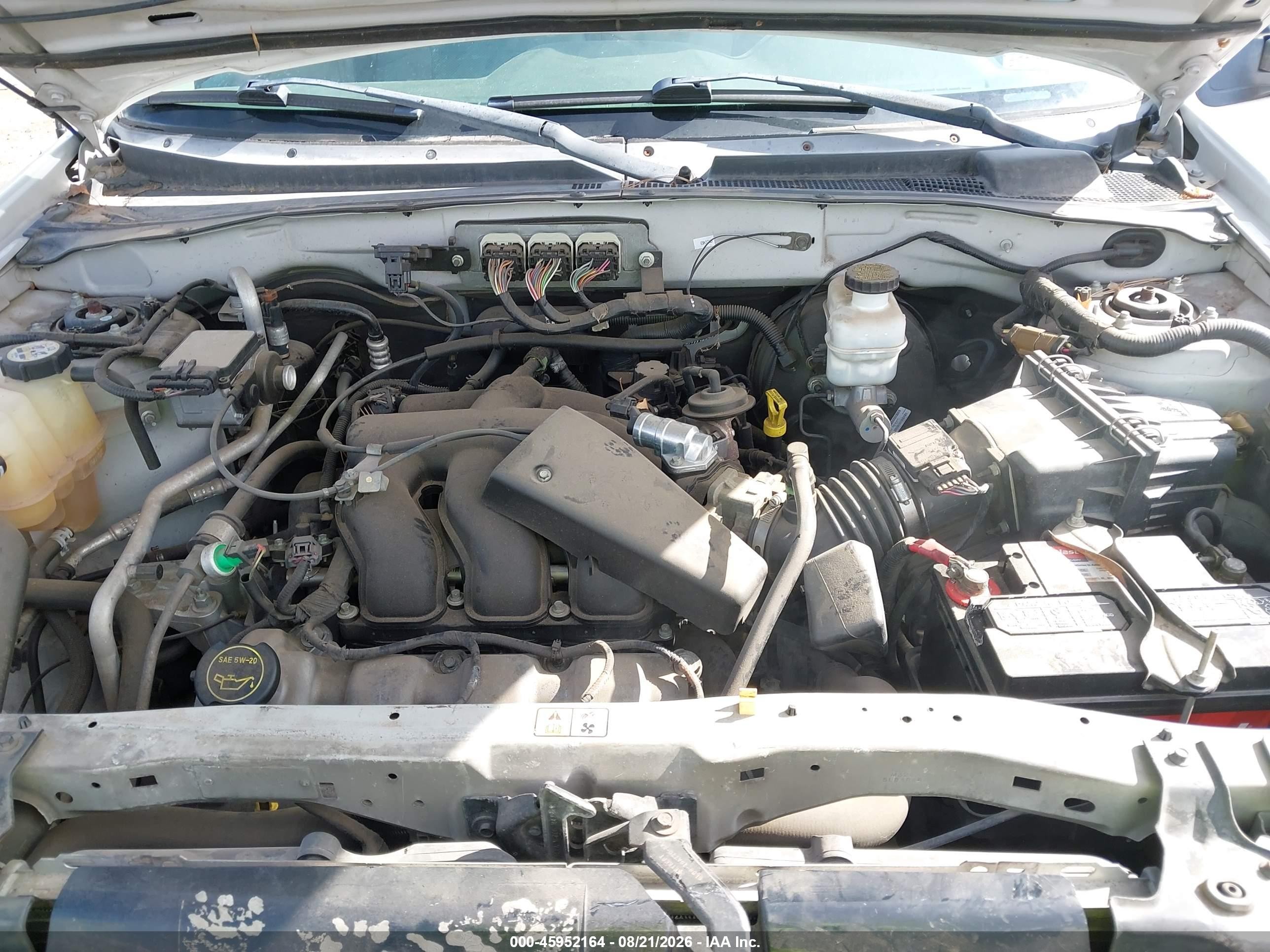 2007 Ford Escape Xlt/xlt Sport White vin: 1FMCU03147KB09173