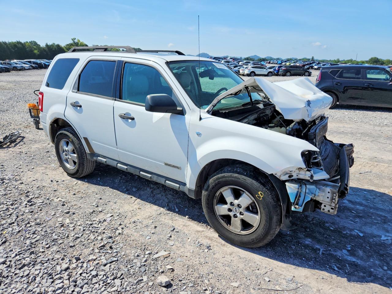 2008 Ford Escape Xlt Белый vin: 1FMCU03148KB08610